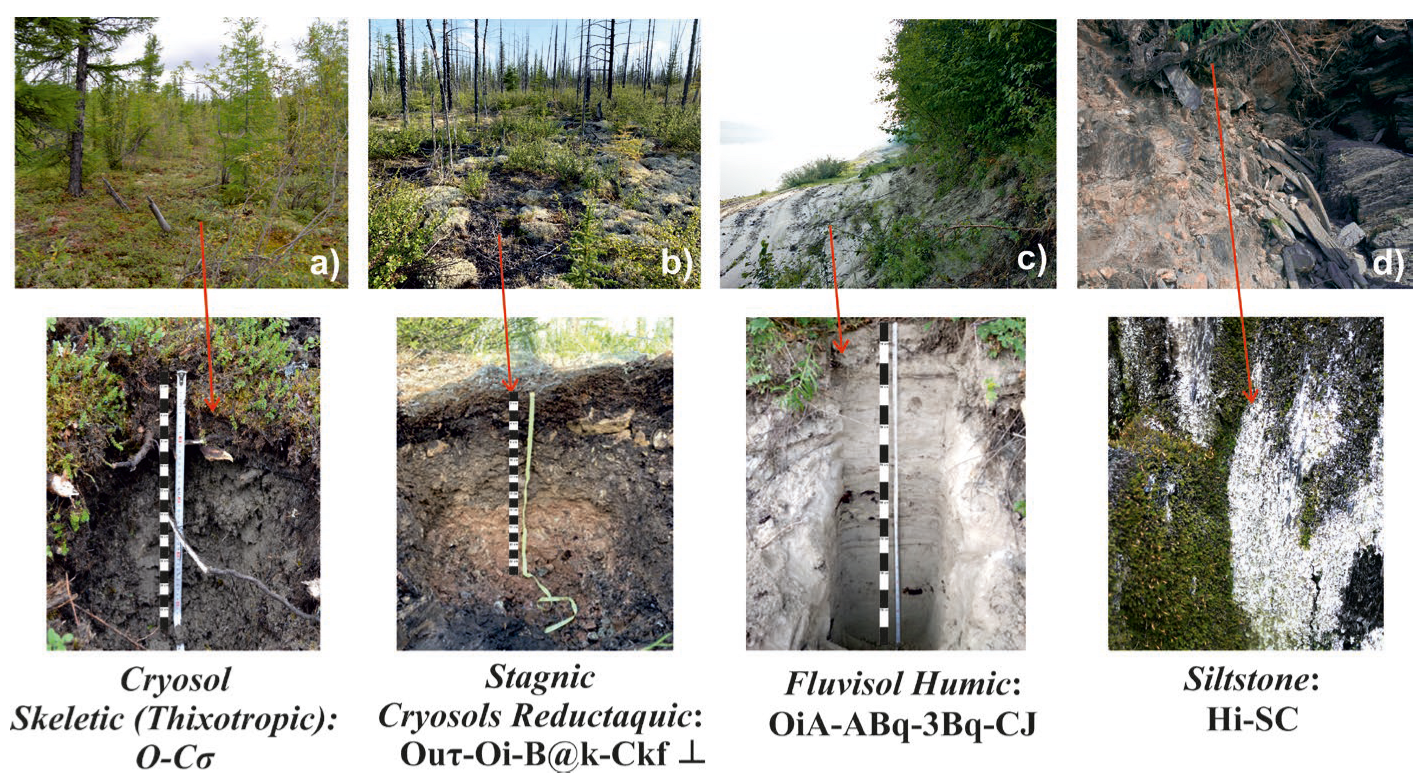 Minerals 13 00659 g002 Minerals 13 00659 g002