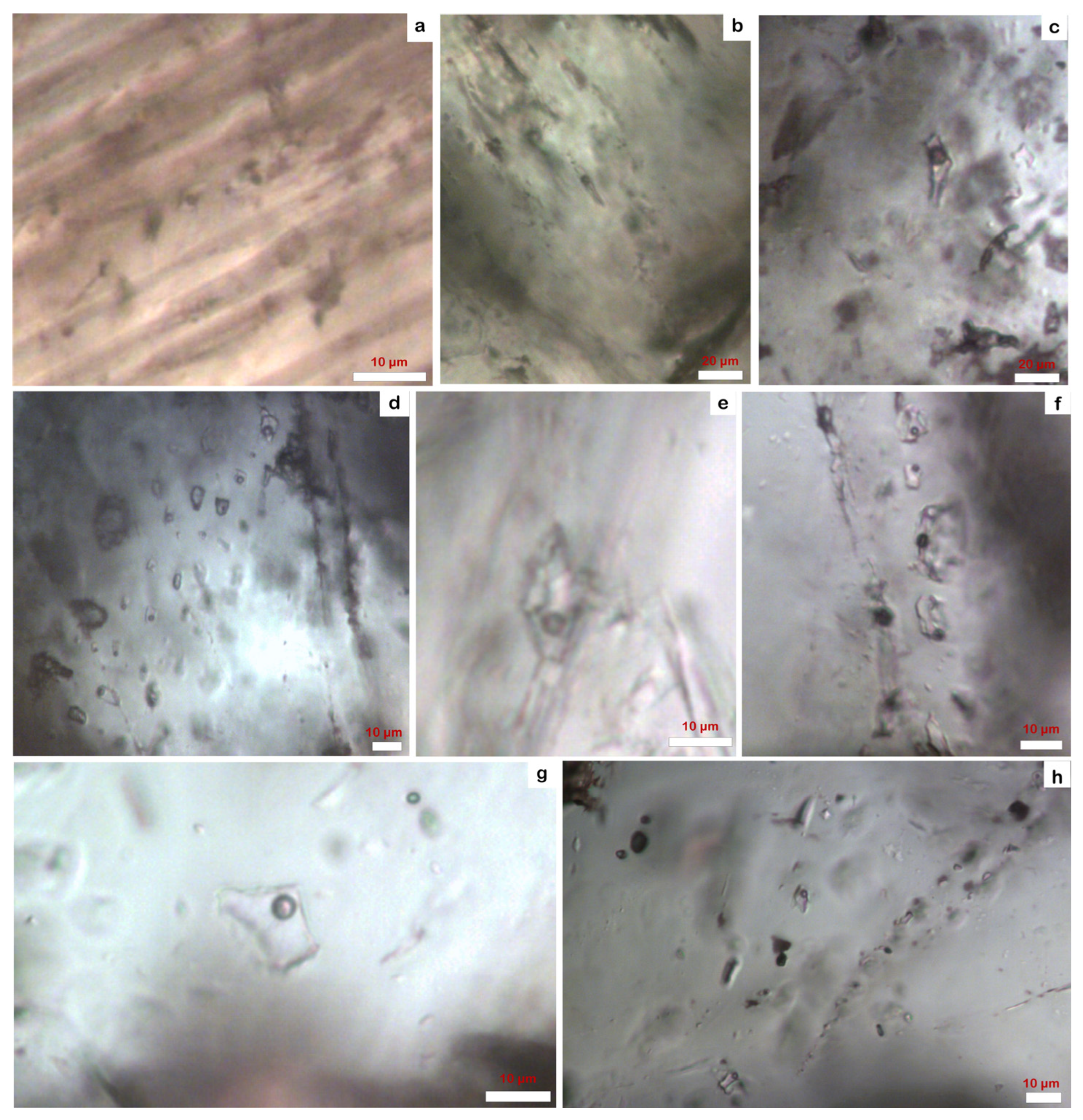 Minerals 13 00667 g013