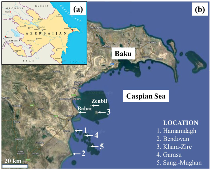 Minerals 13 00696 g001 Minerals 13 00696 g001