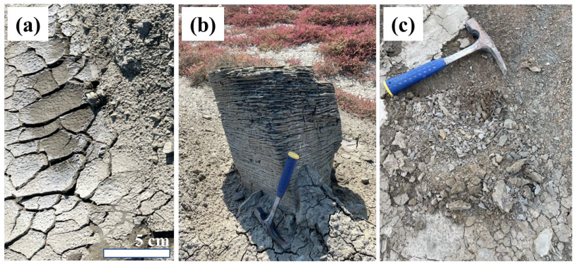 Minerals 13 00696 g003 Minerals 13 00696 g003