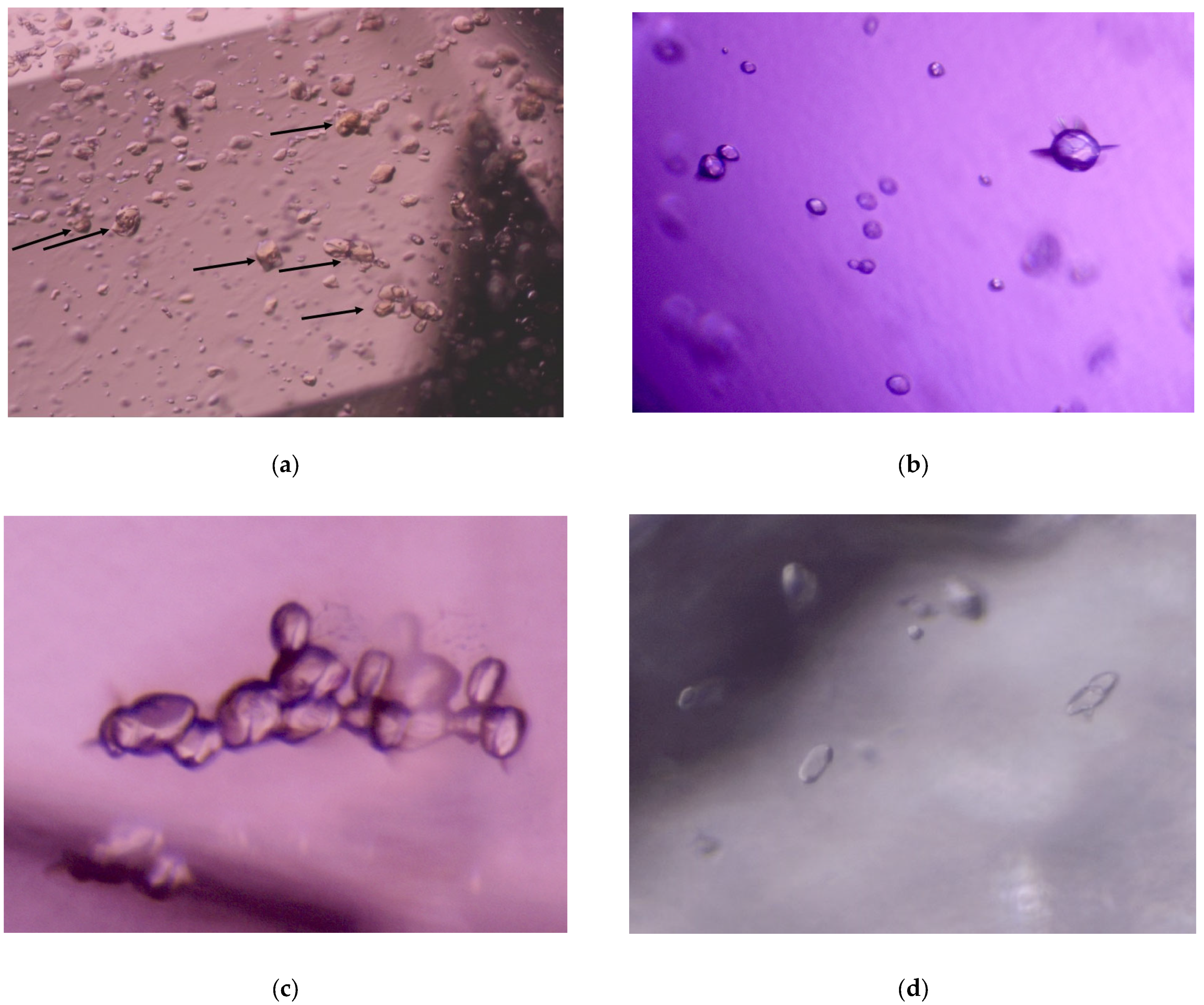 Minerals 13 00704 g002 Minerals 13 00704 g002