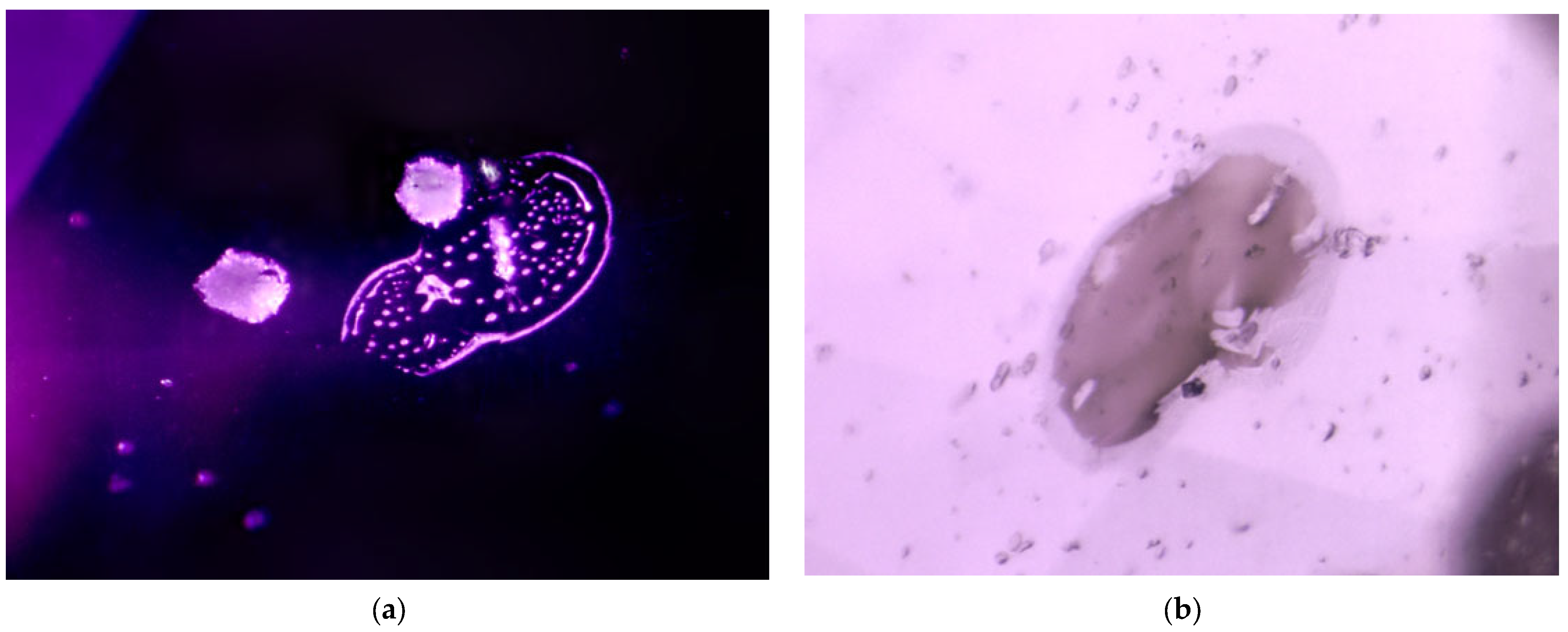 Minerals 13 00704 g003 Minerals 13 00704 g003