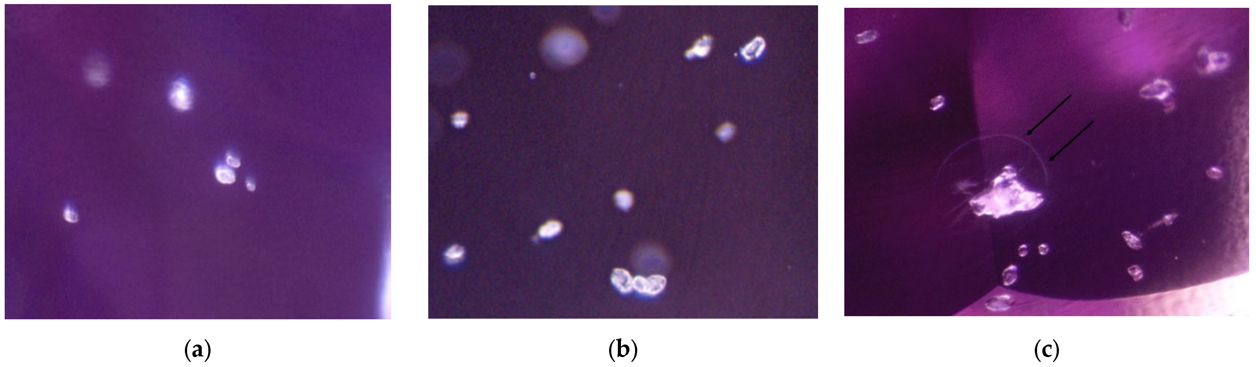 Minerals 13 00704 g004 Minerals 13 00704 g004