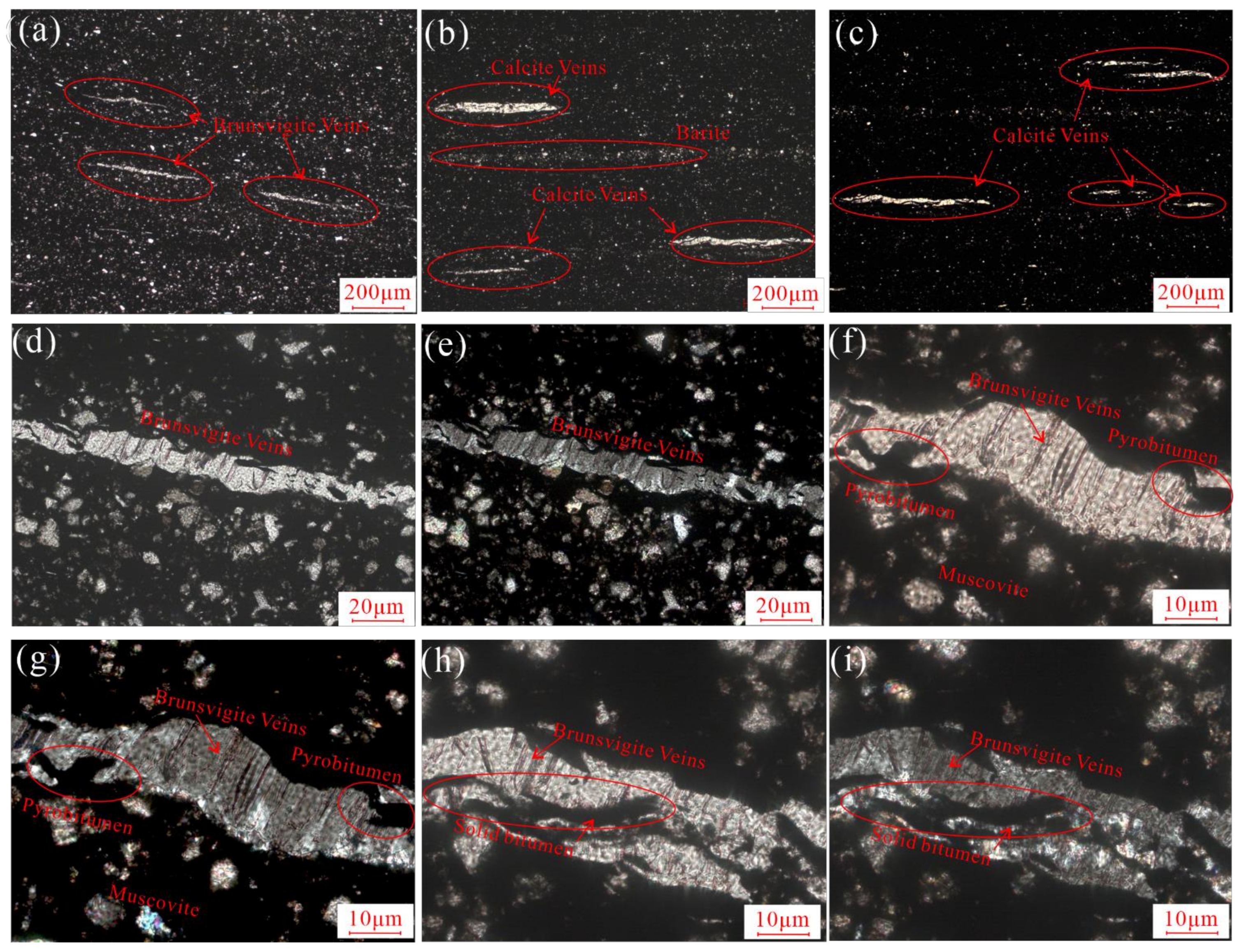 Minerals 13 00720 g004 Minerals 13 00720 g004