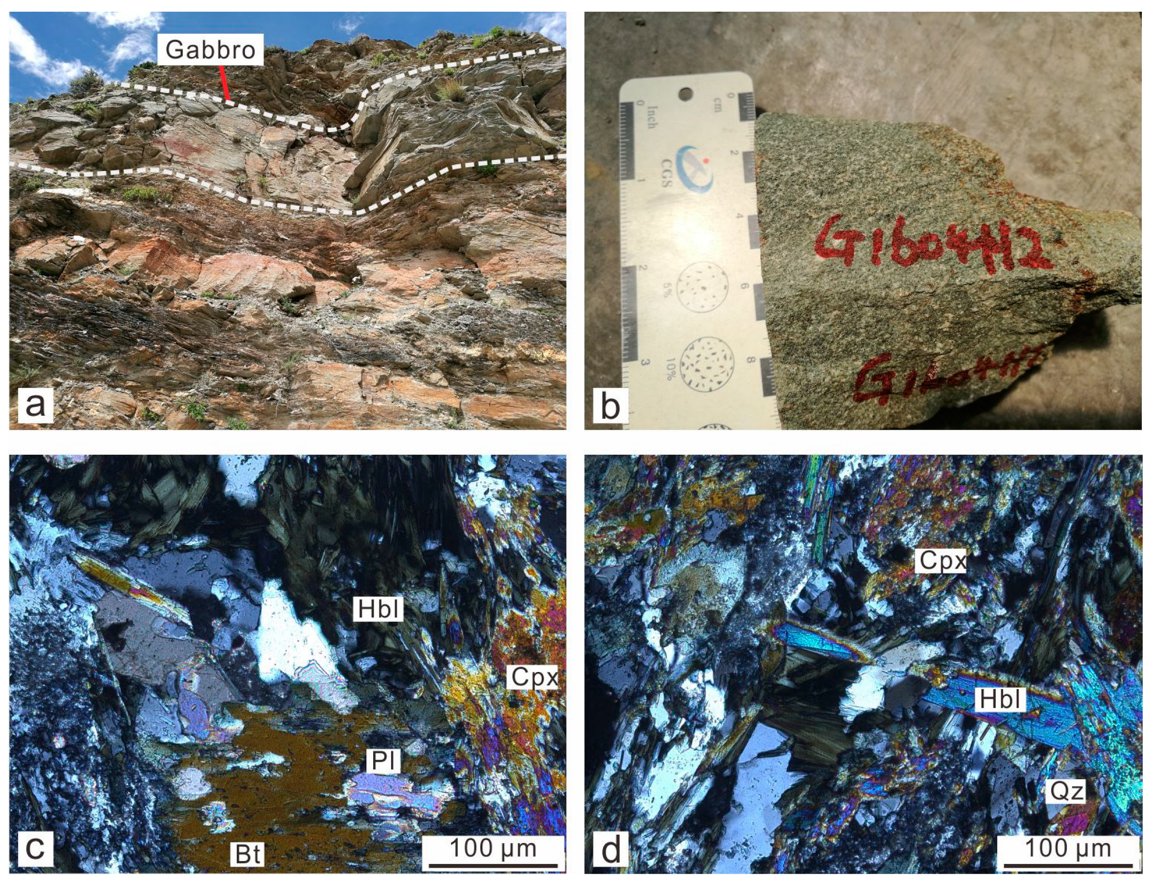 Petrogenesis of the Qiongduojiang Gabbro in Tethys Himalaya