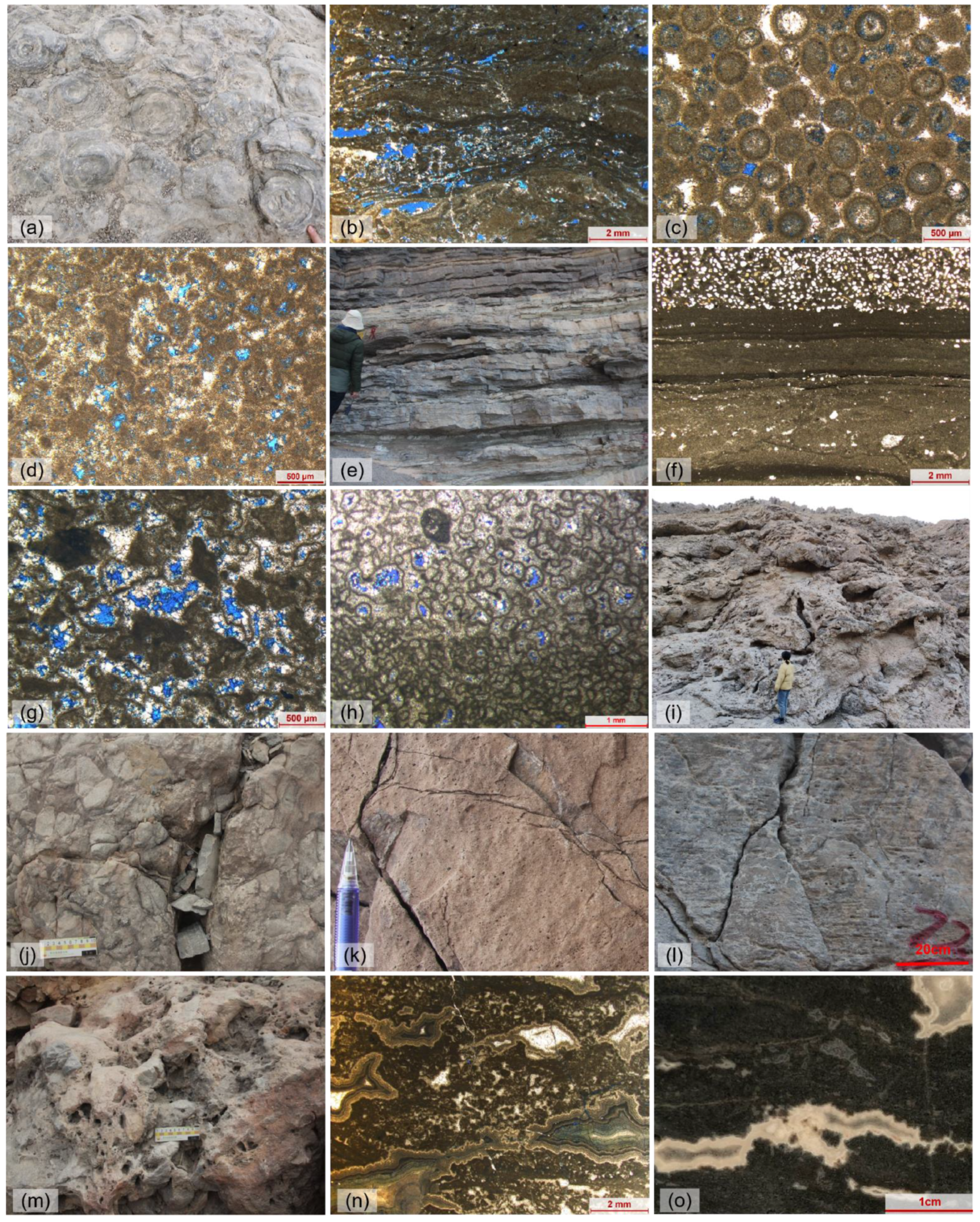 Minerals 13 00725 g004 550