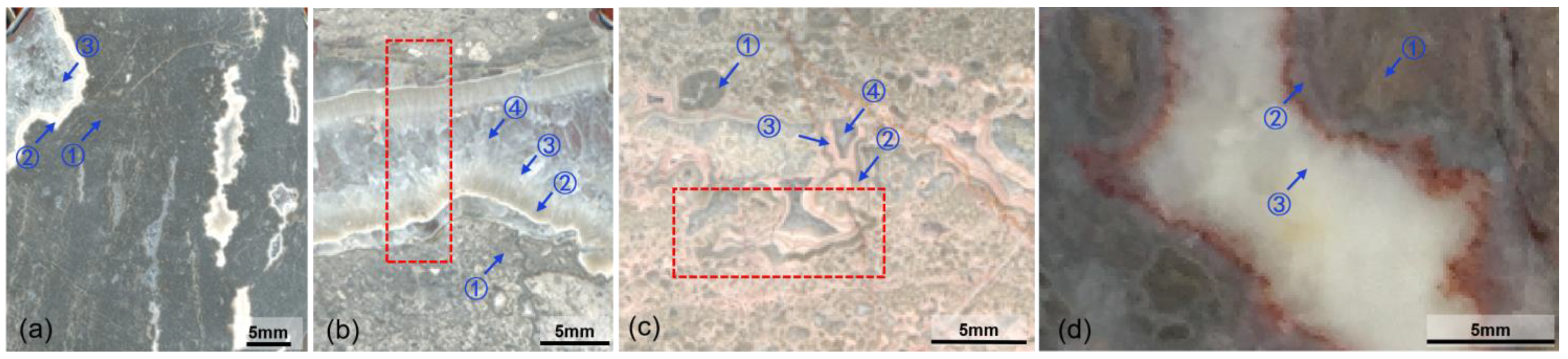 Minerals 13 00725 g005 550