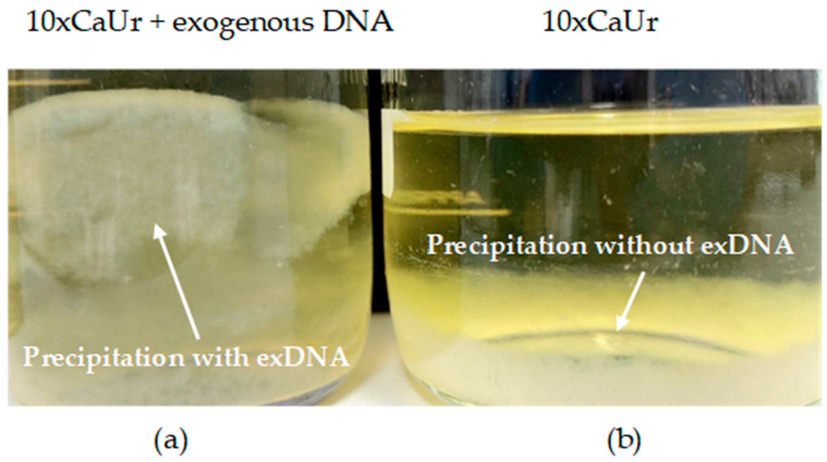 Minerals 13 00740 g001 Minerals 13 00740 g001