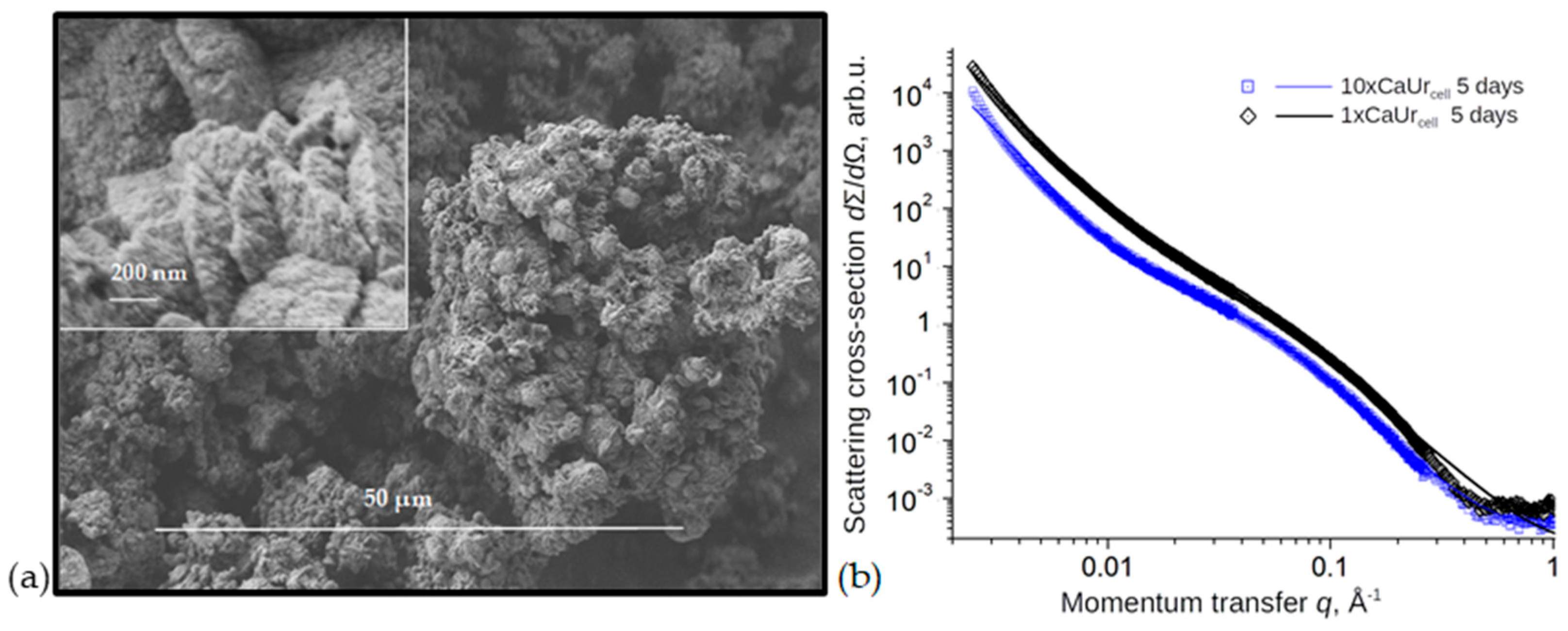 Minerals 13 00740 g009 Minerals 13 00740 g009