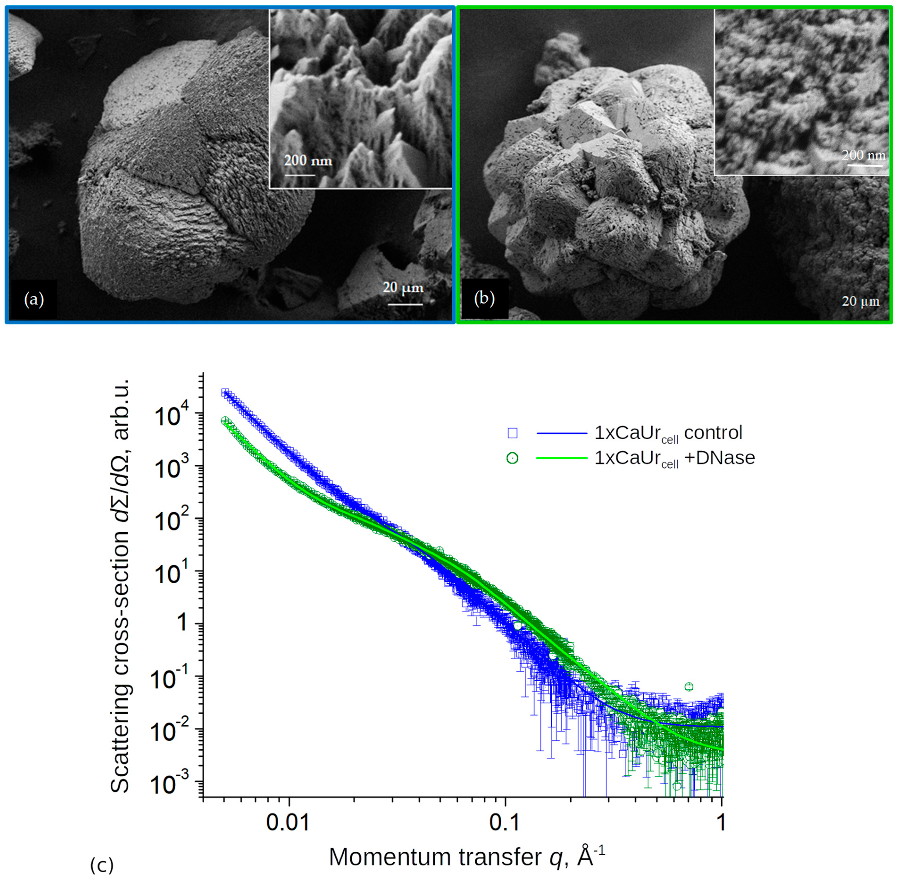 Minerals 13 00740 g010 Minerals 13 00740 g010