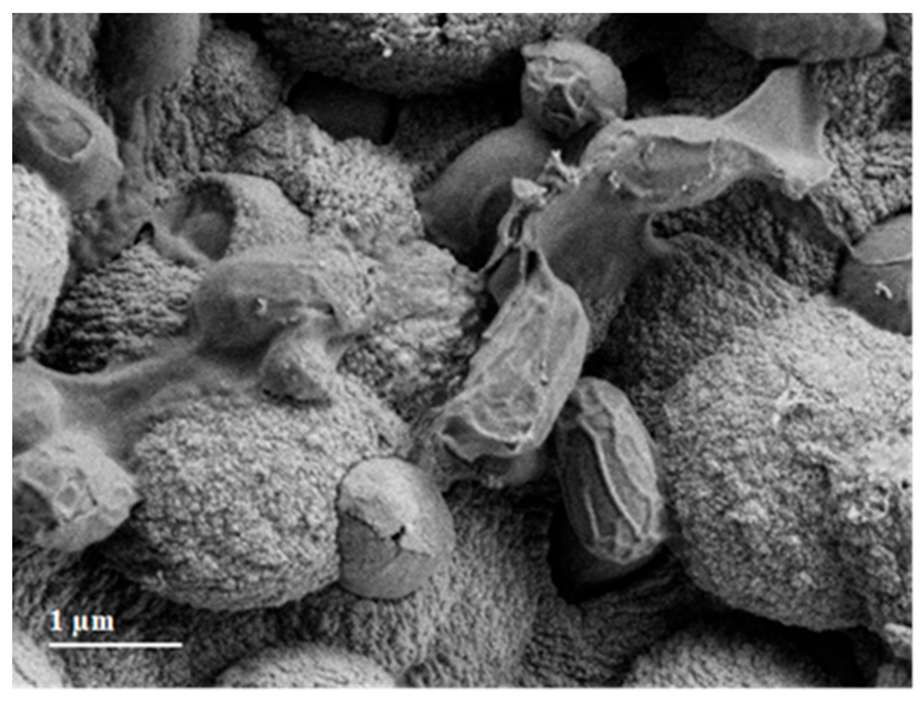 Minerals 13 00740 g0a2 Minerals 13 00740 g0a2