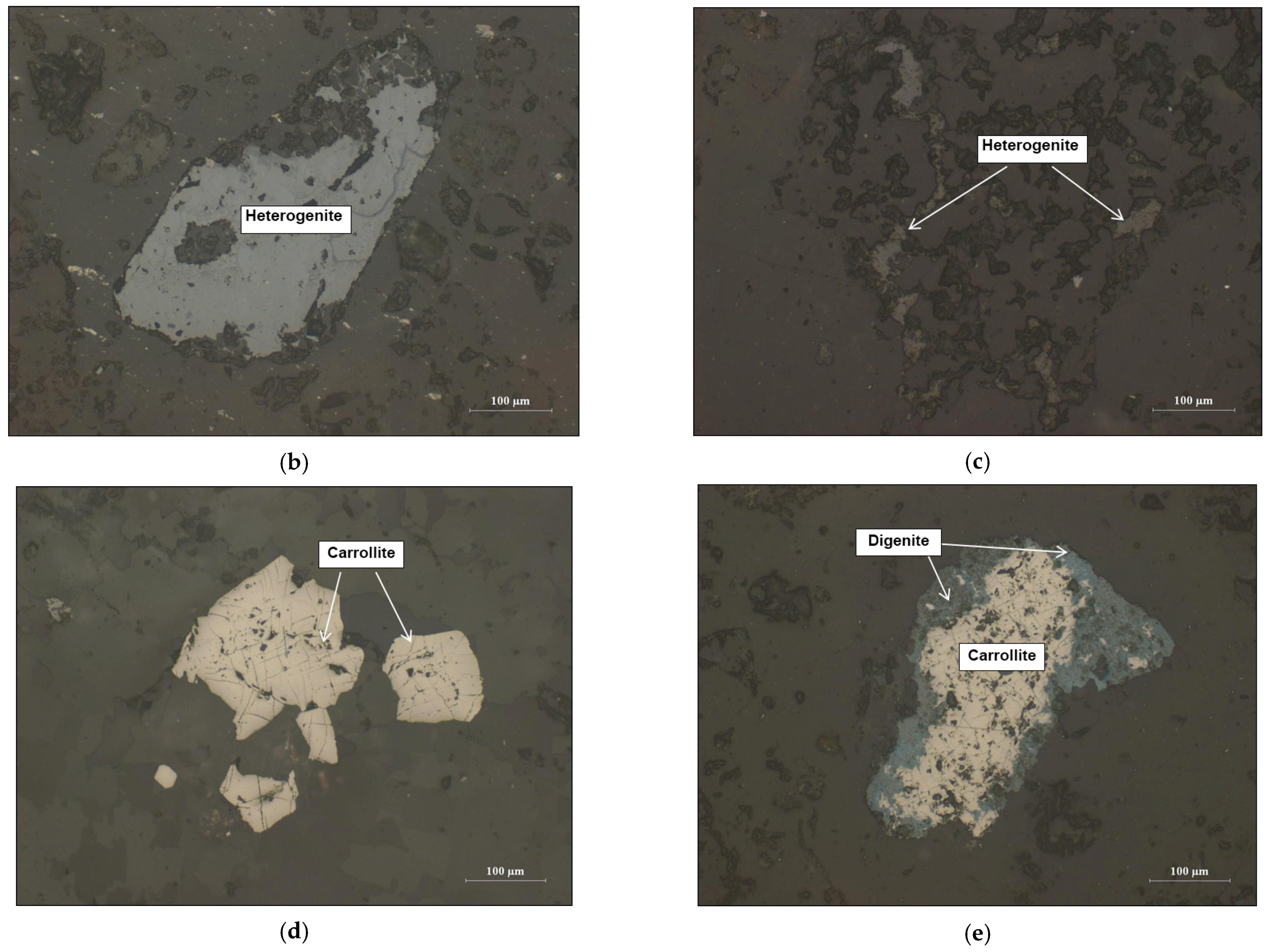 Minerals 13 00743 g004b