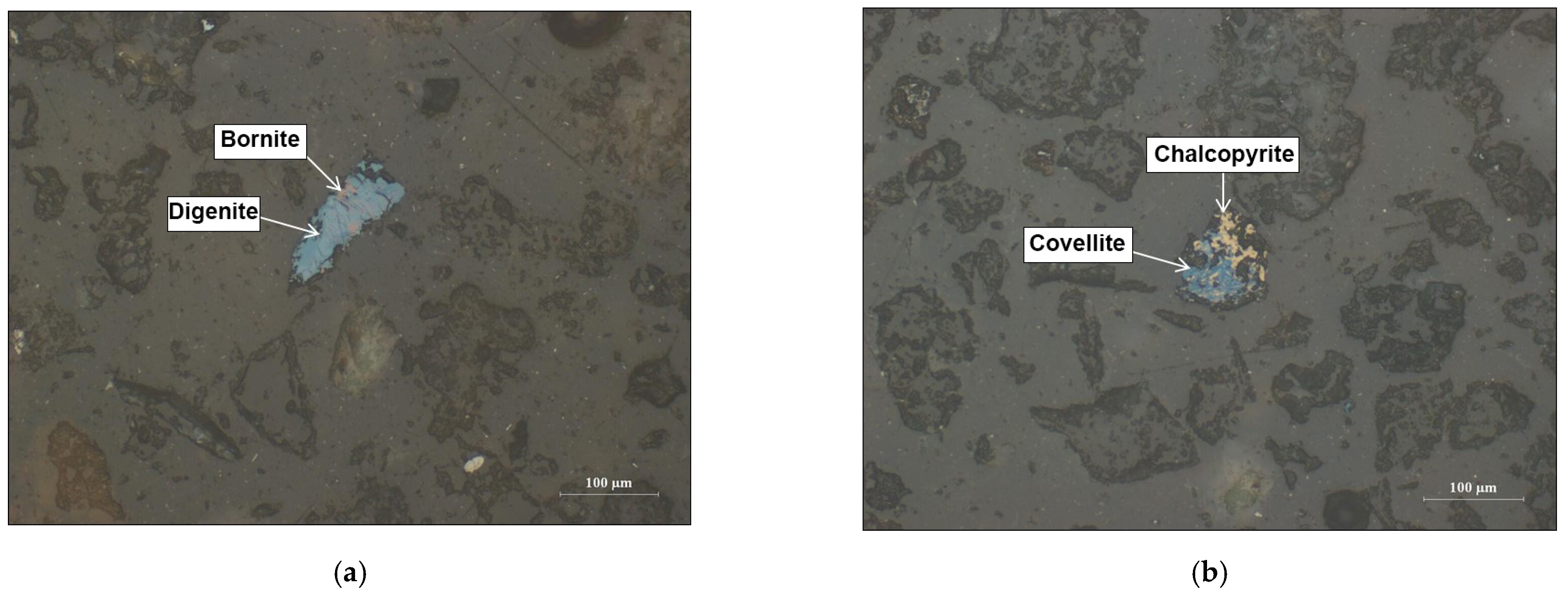 Minerals 13 00743 g013a