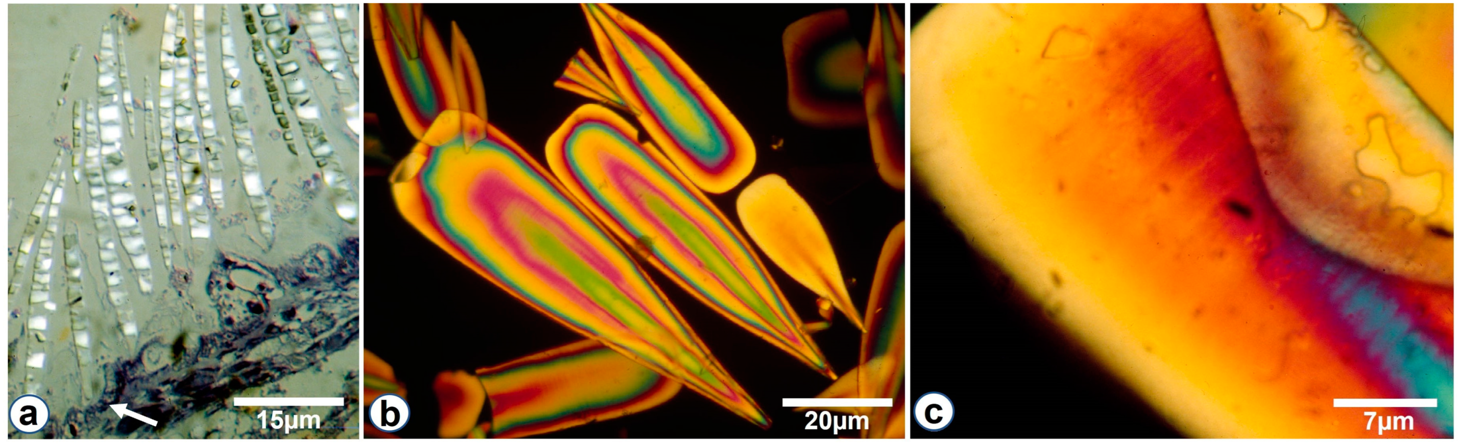 Minerals 13 00750 g002