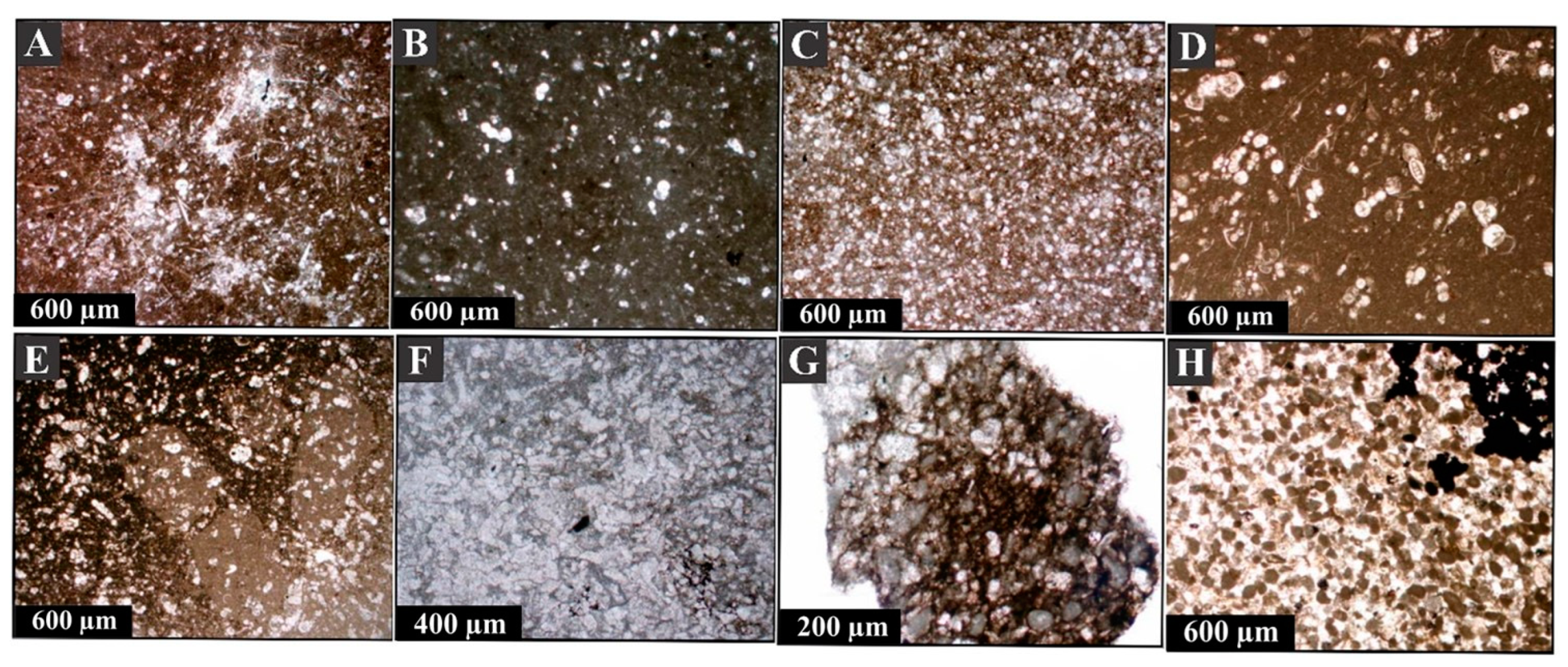 Minerals 13 00757 g004
