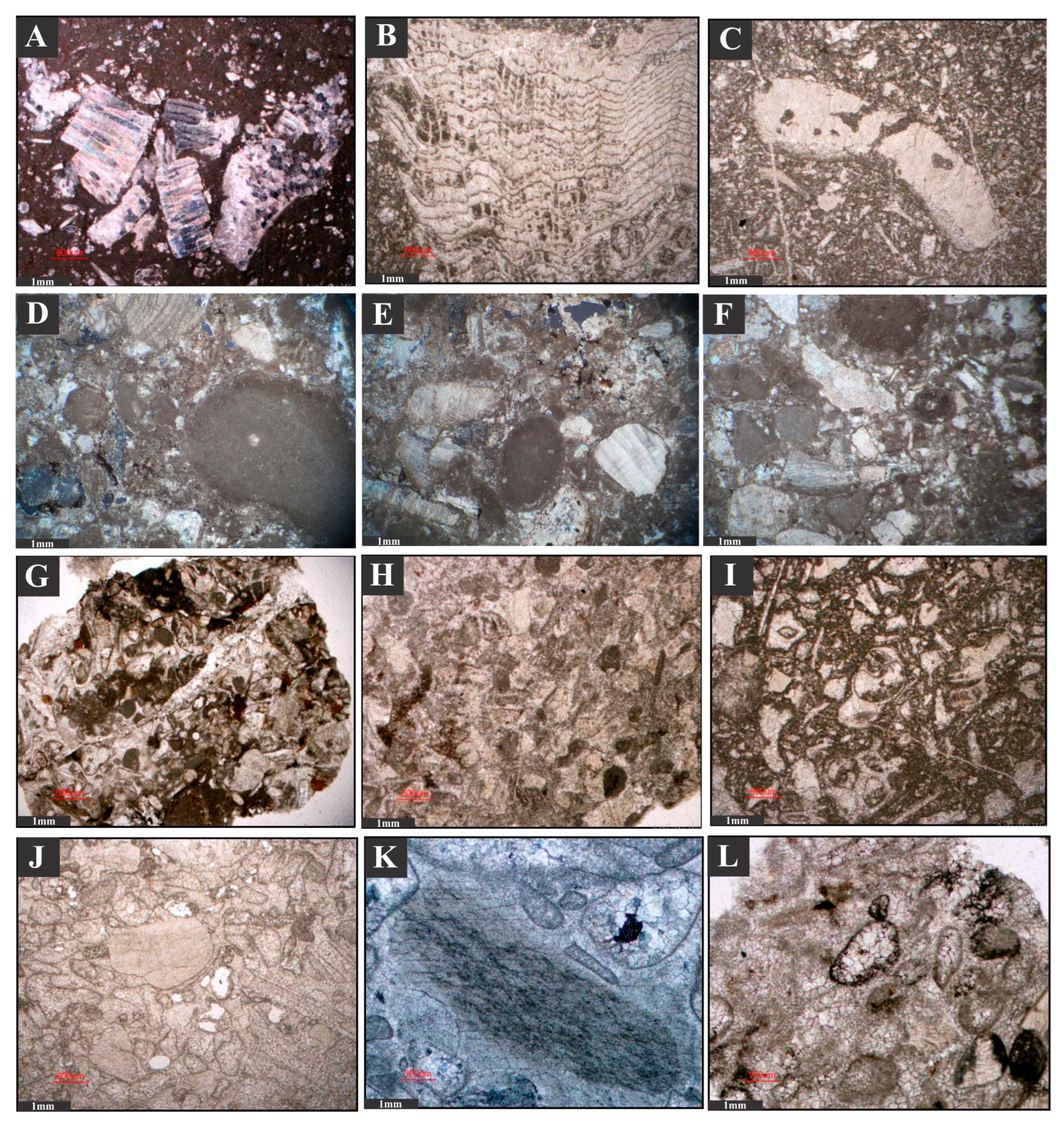 Minerals 13 00757 g006