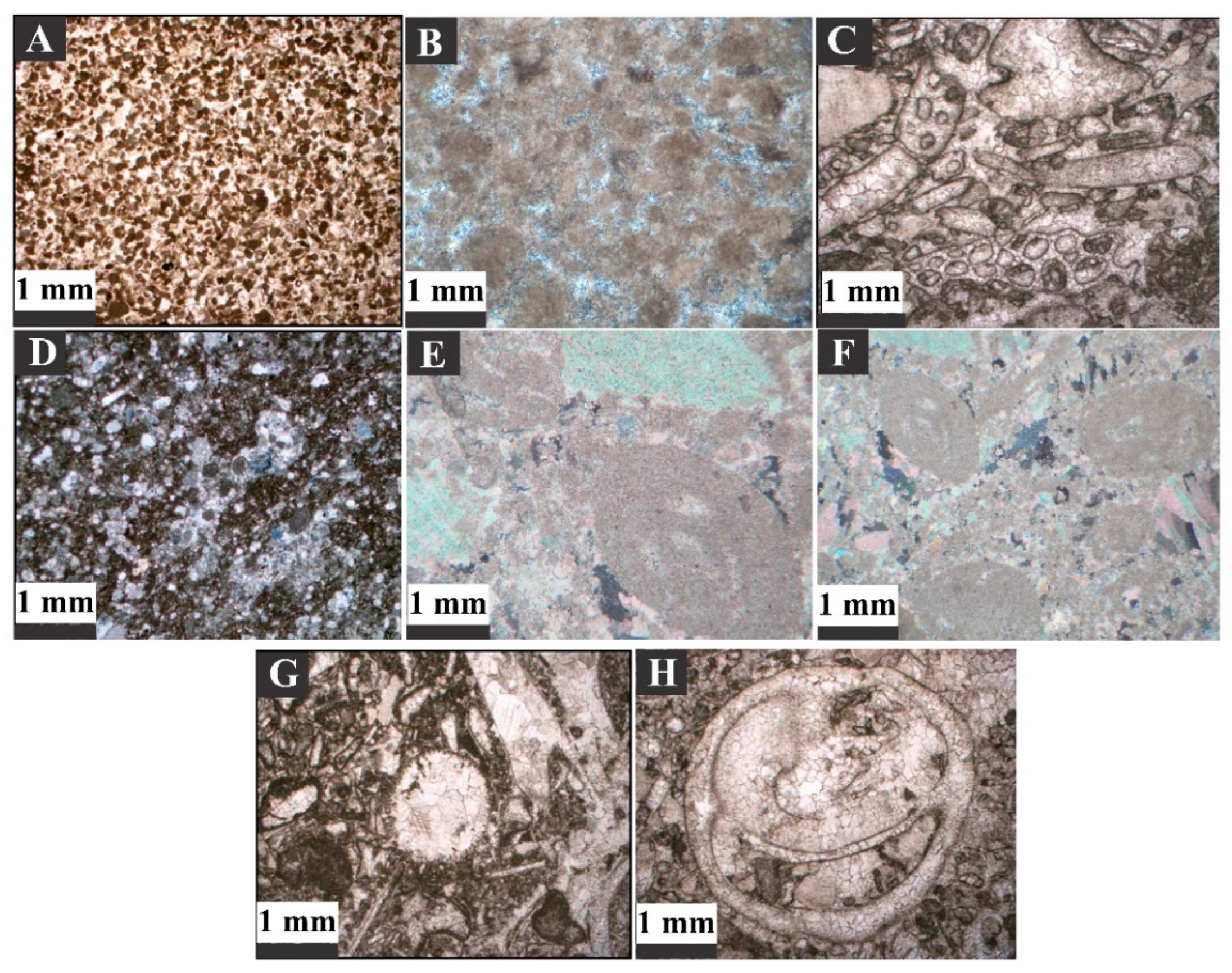 Minerals 13 00757 g007