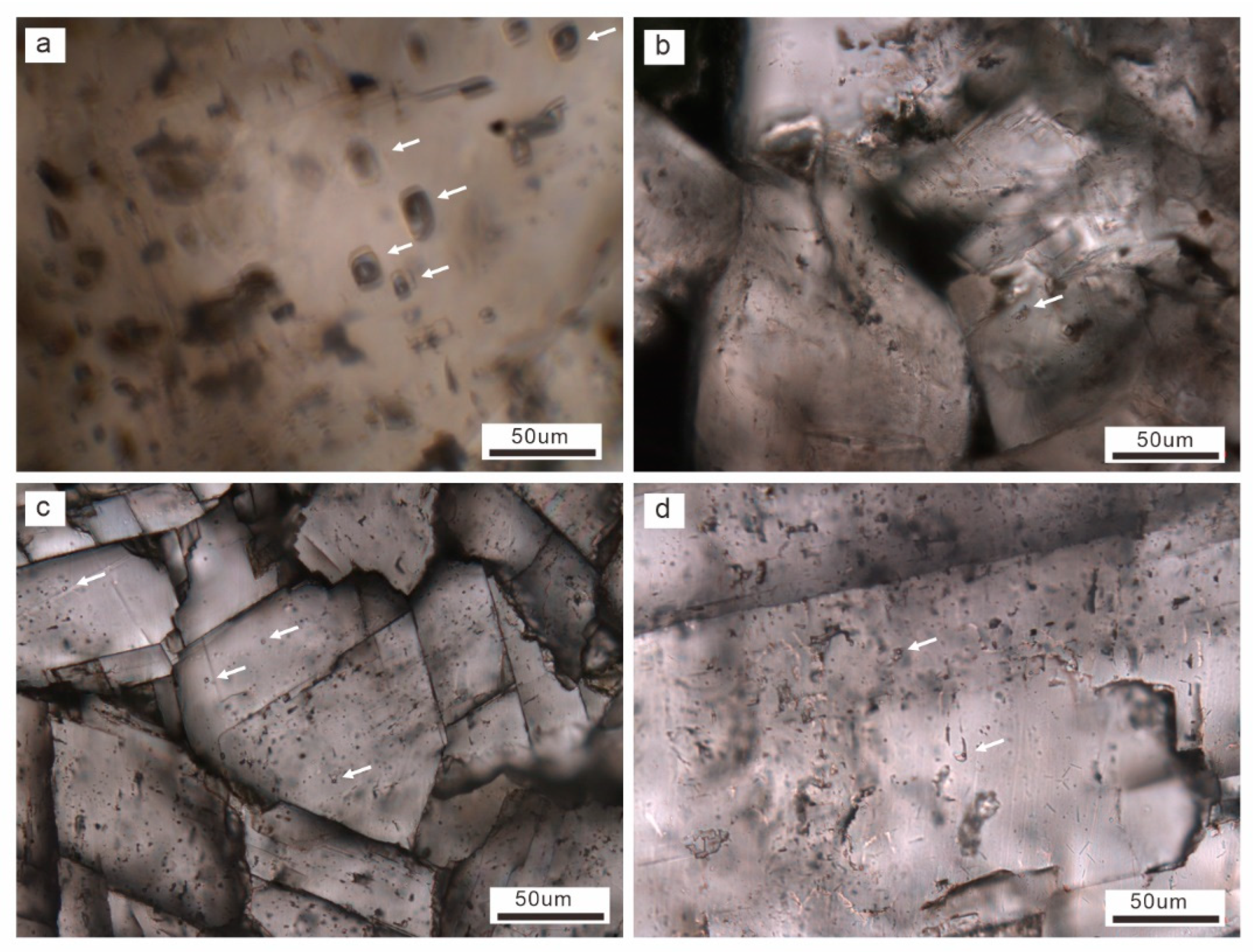 Minerals 13 00758 g007 Minerals 13 00758 g007