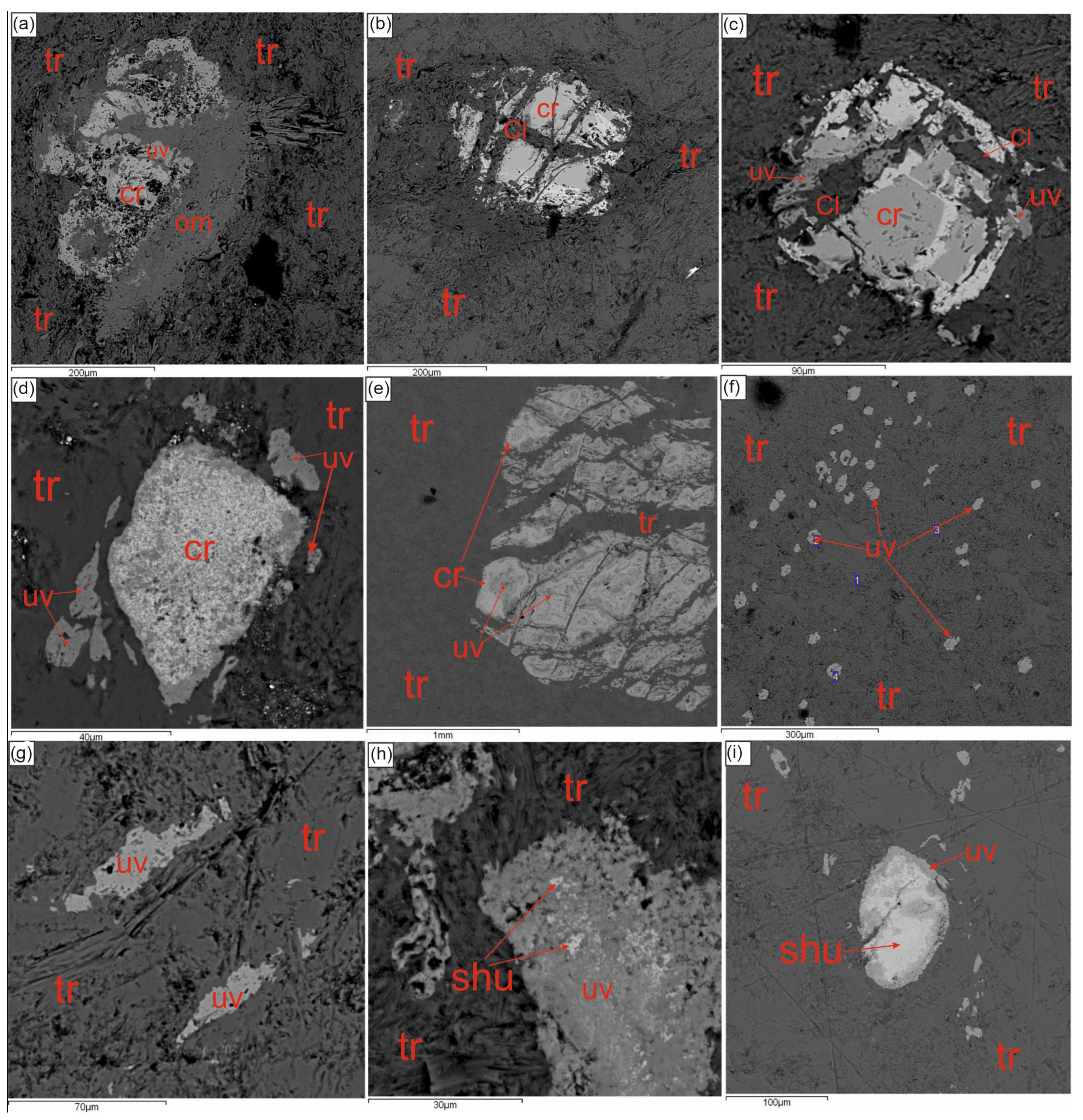 Minerals 13 00767 g007