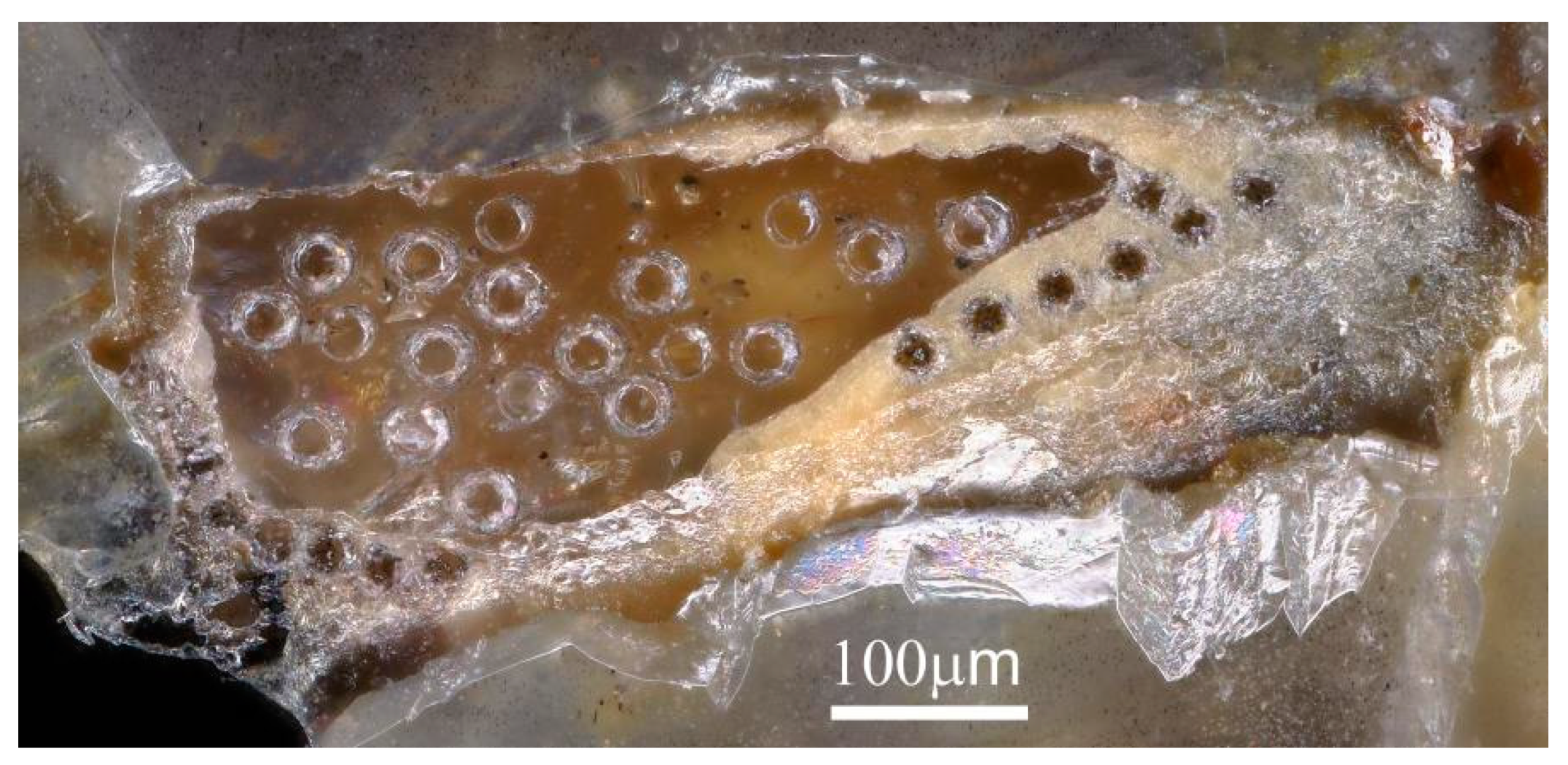 Minerals 13 00771 g008 Minerals 13 00771 g008