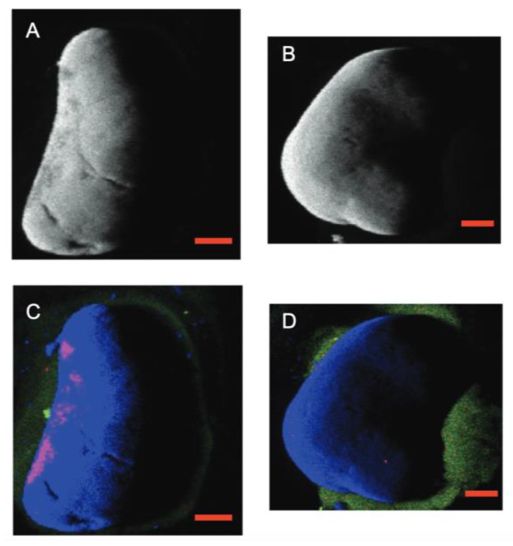 Minerals 13 00773 g003 Minerals 13 00773 g003
