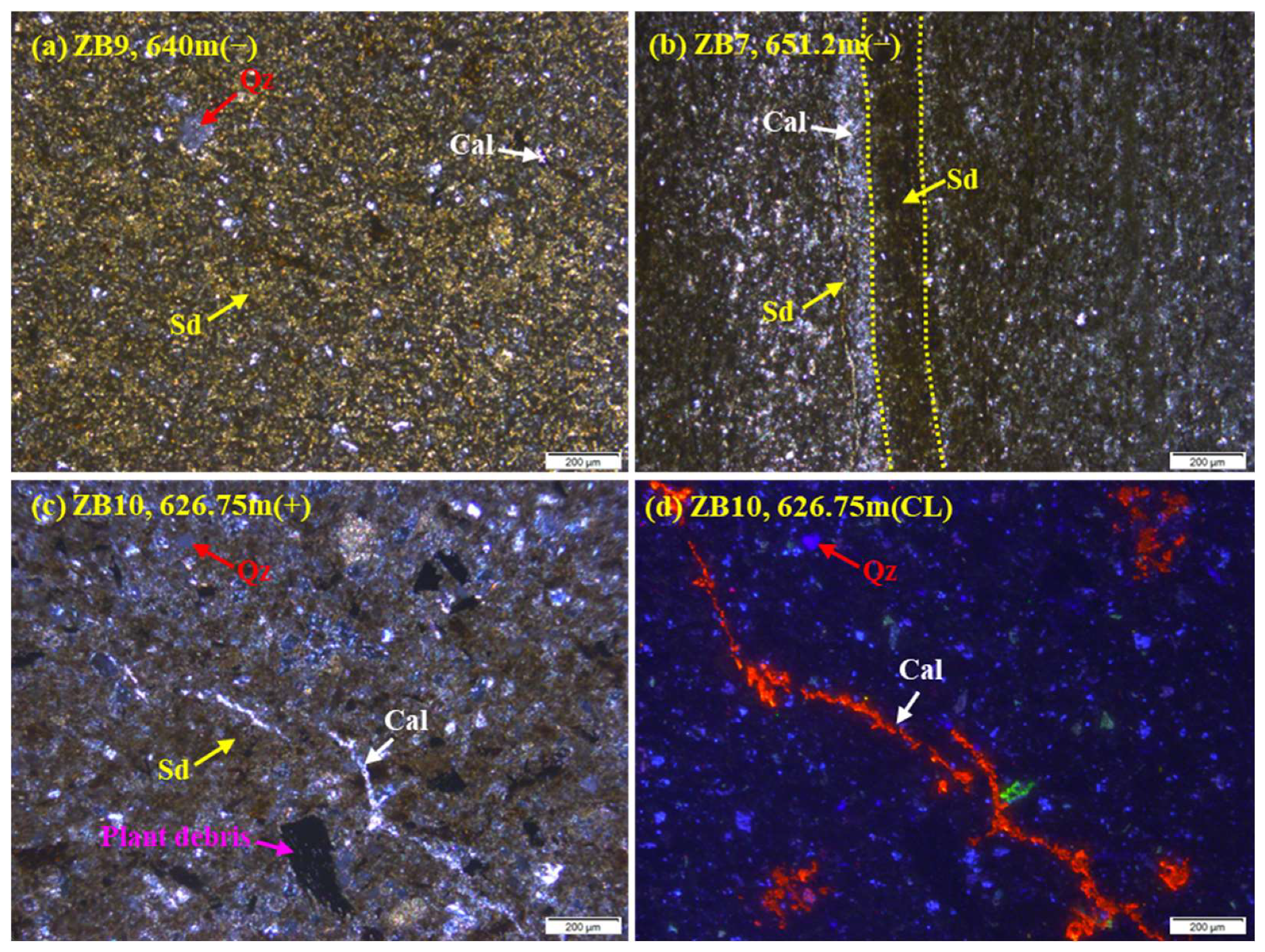 Minerals 13 00804 g003