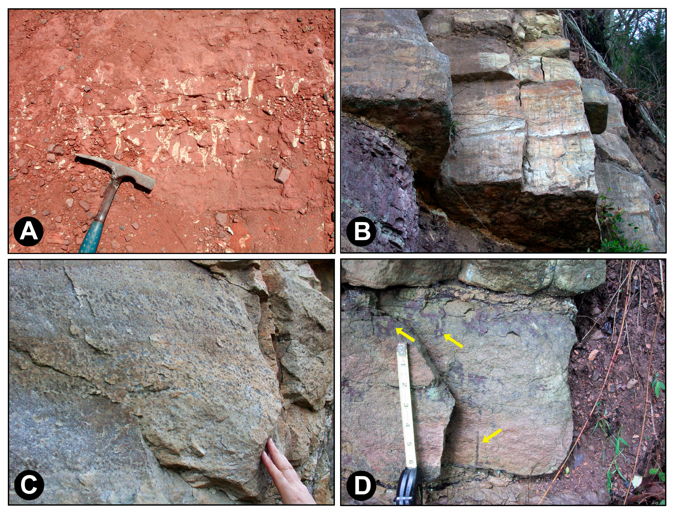 Minerals 13 00807 g007