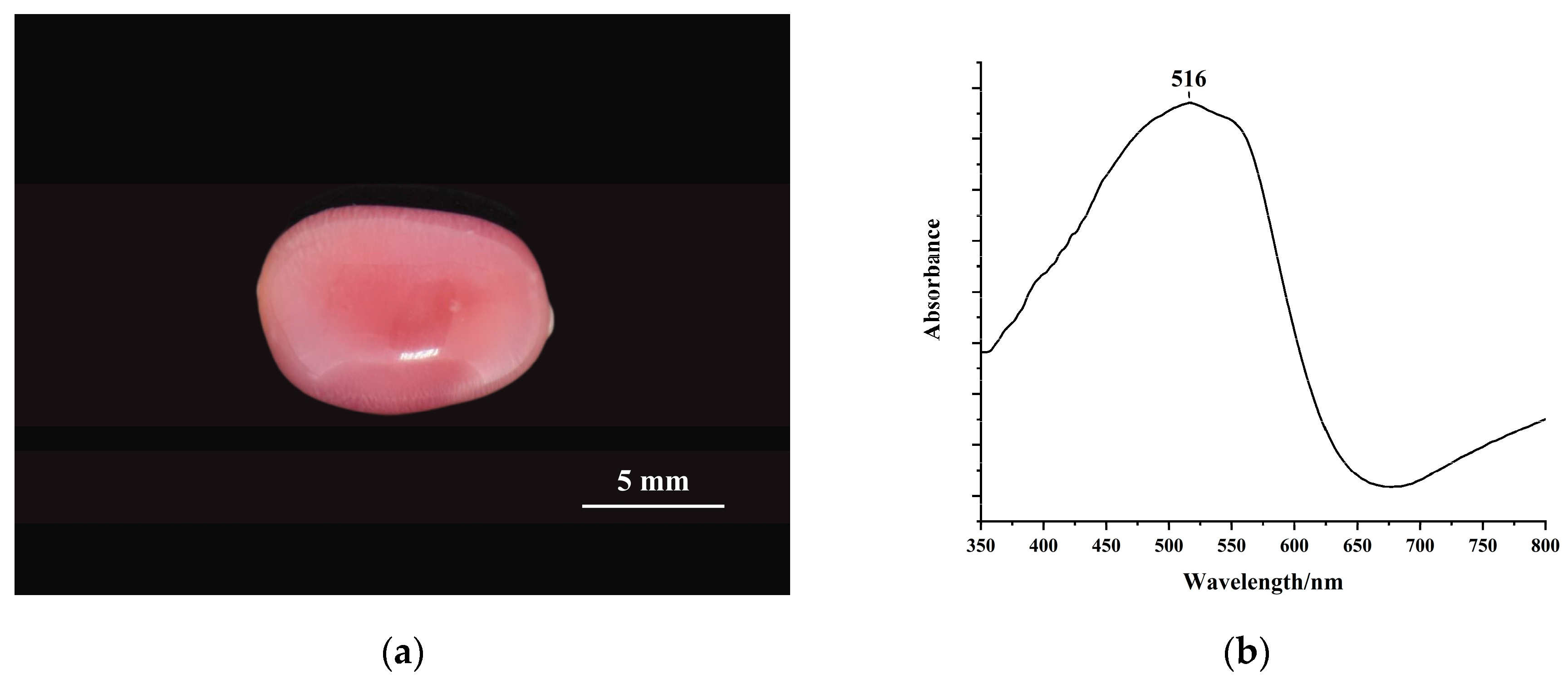 Minerals 13 00811 g001 Minerals 13 00811 g001