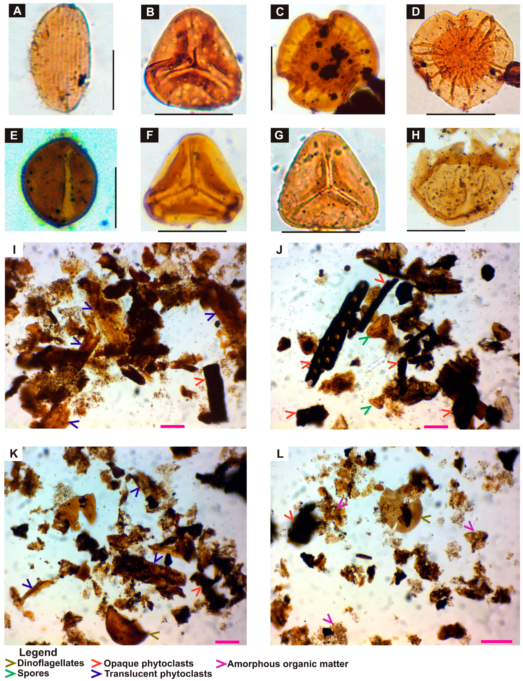 Minerals 13 00827 g004