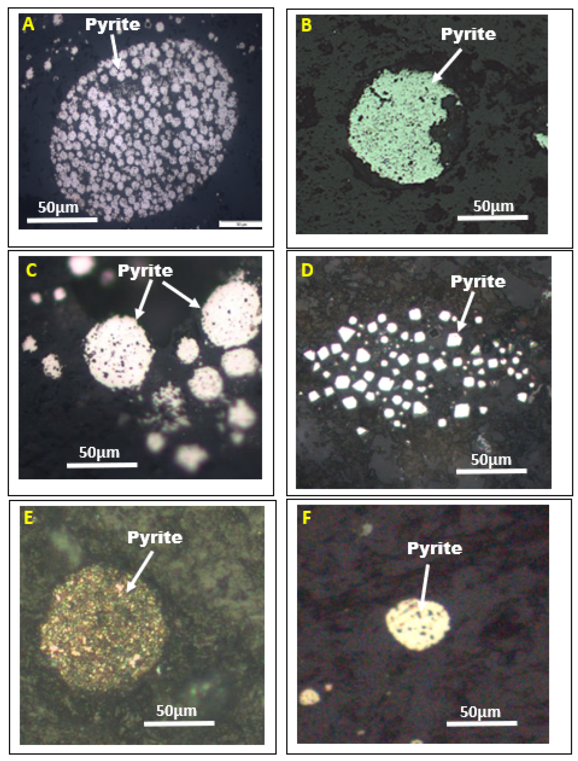 Minerals 13 00829 g003