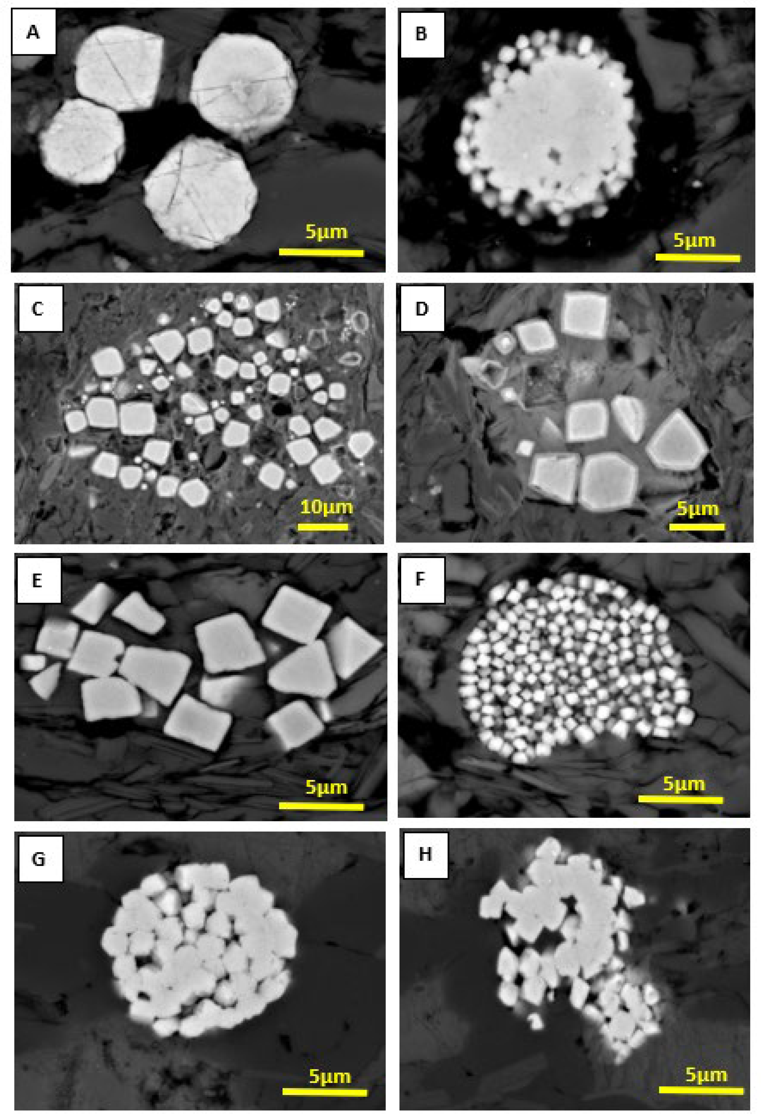 Minerals 13 00829 g005
