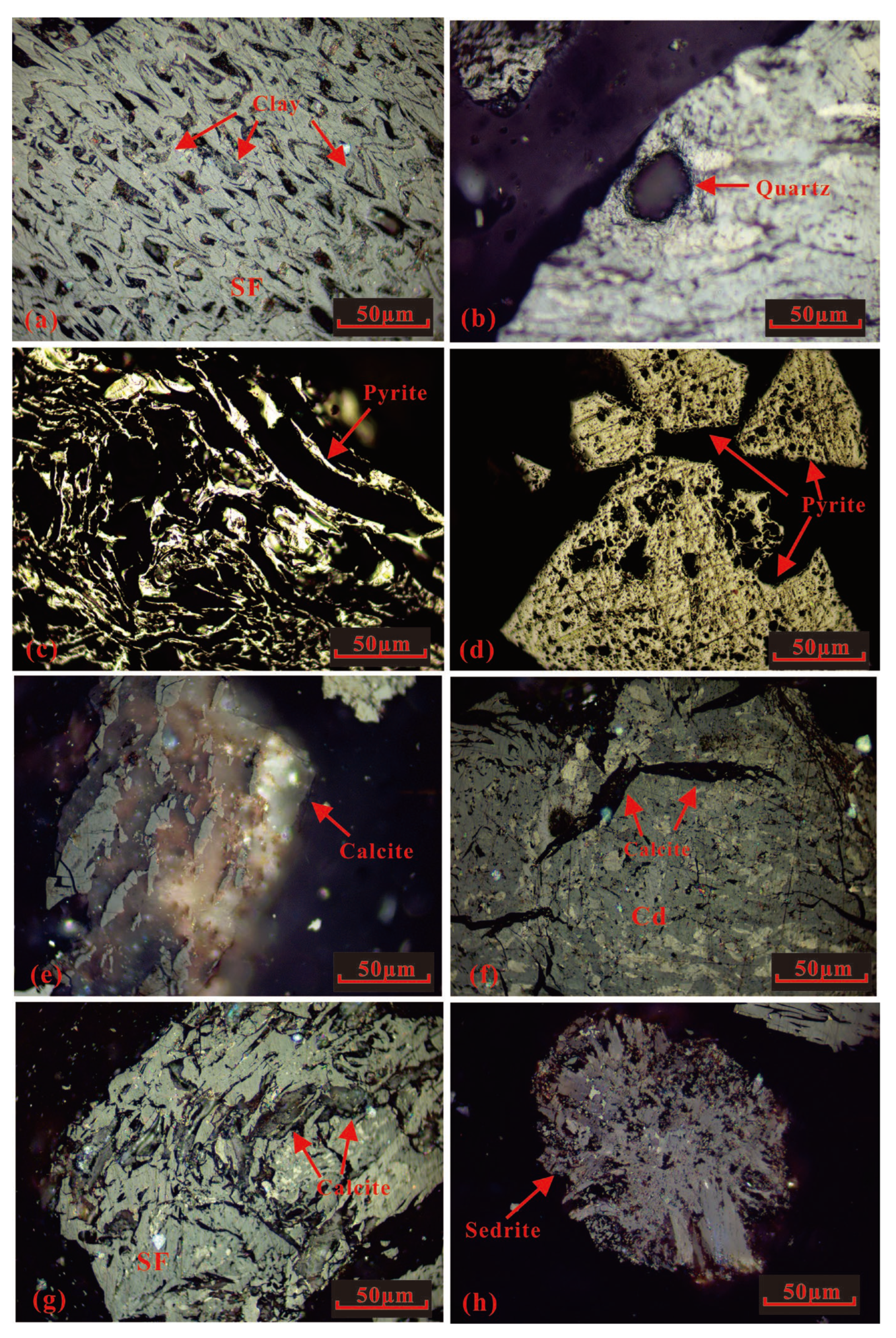 Minerals 13 00837 g012