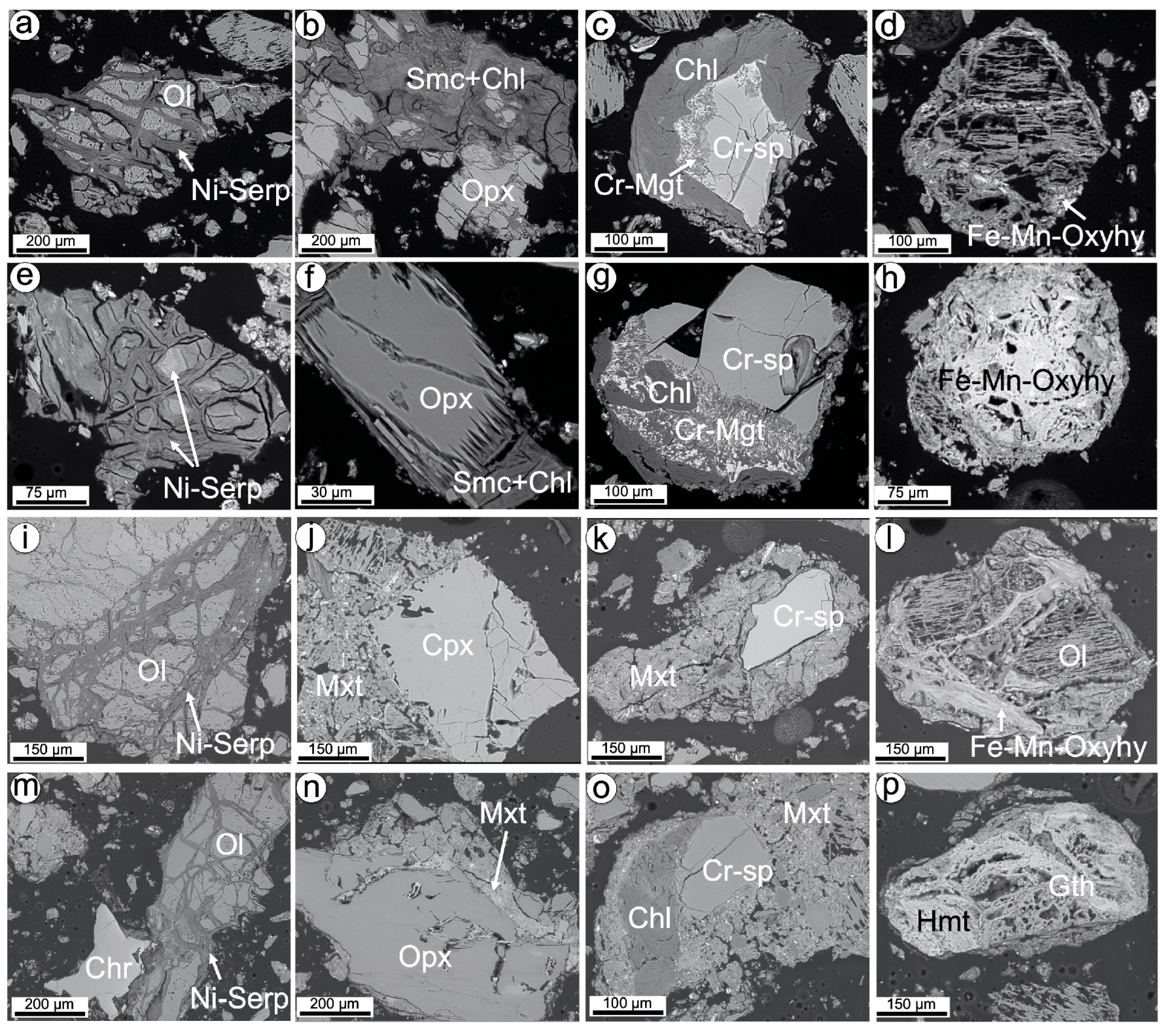 Minerals 13 00844 g009