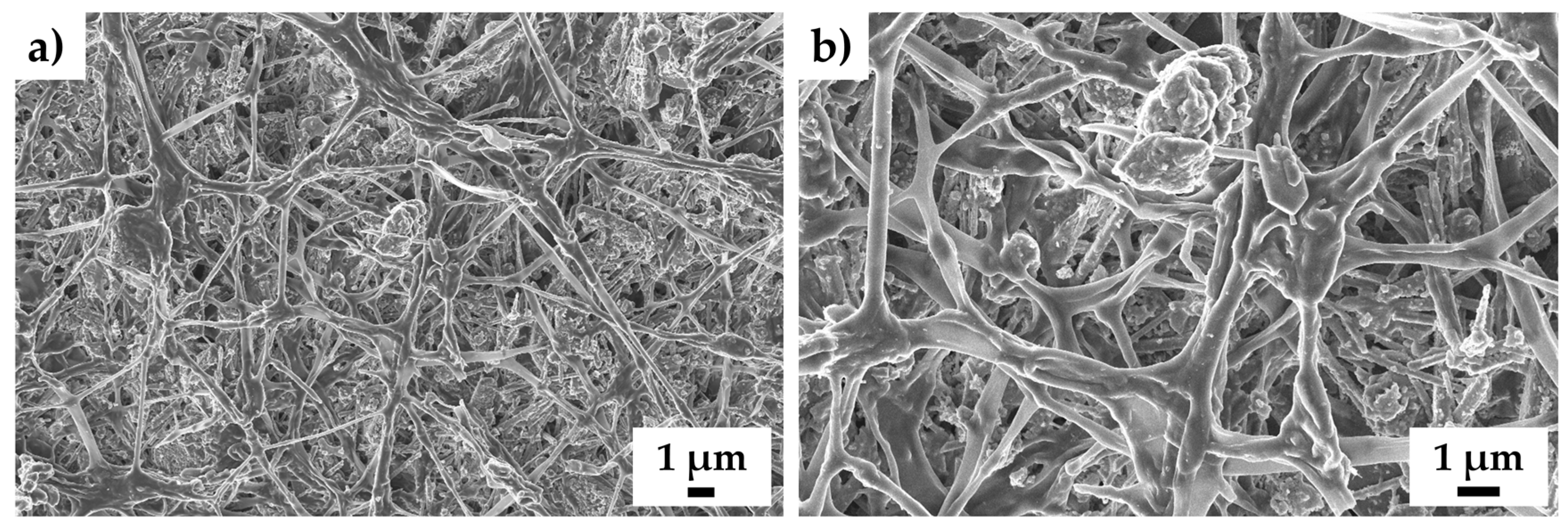 Minerals 13 00854 g010