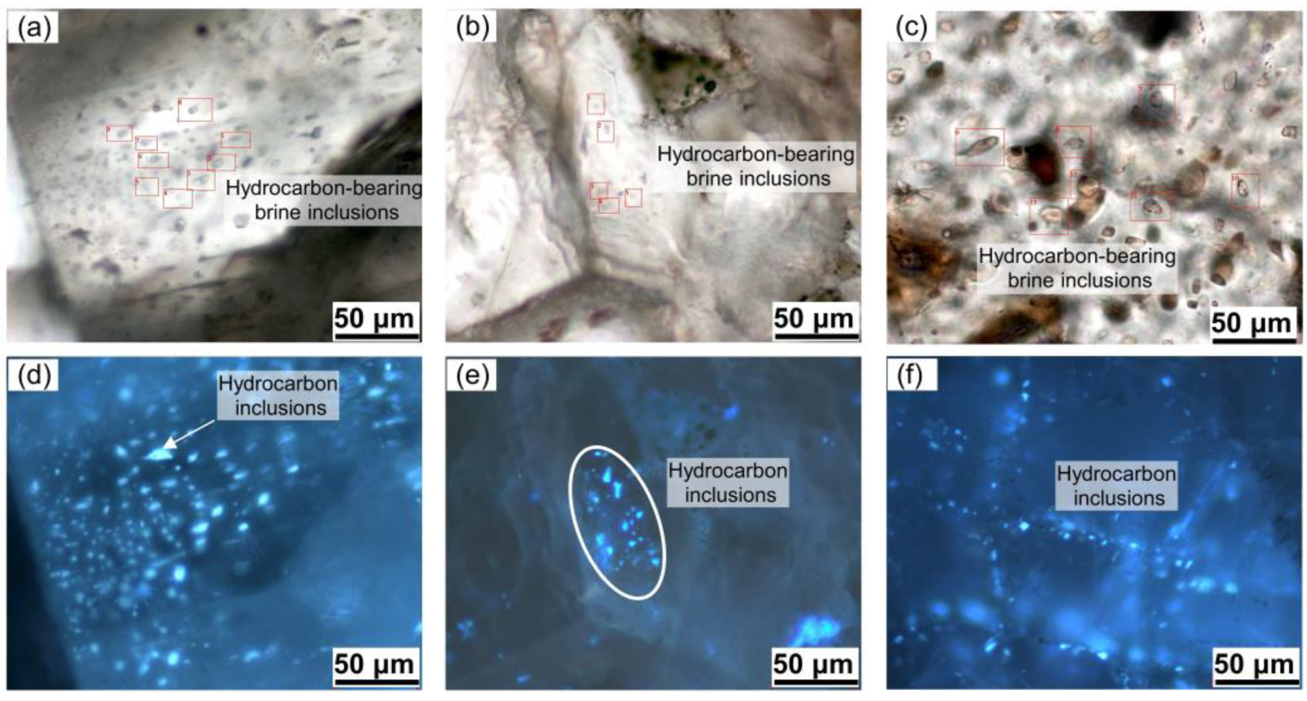 Minerals 13 00946 g010