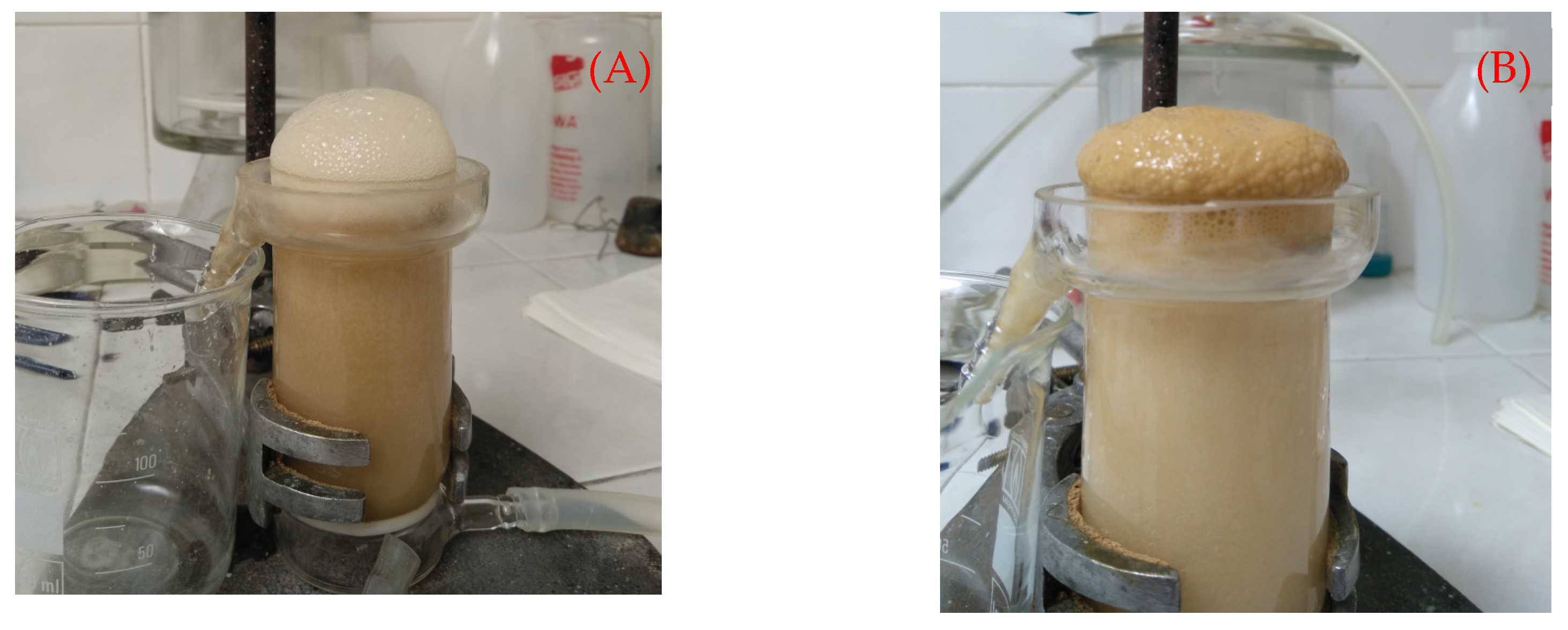 Minerals 13 00957 g016