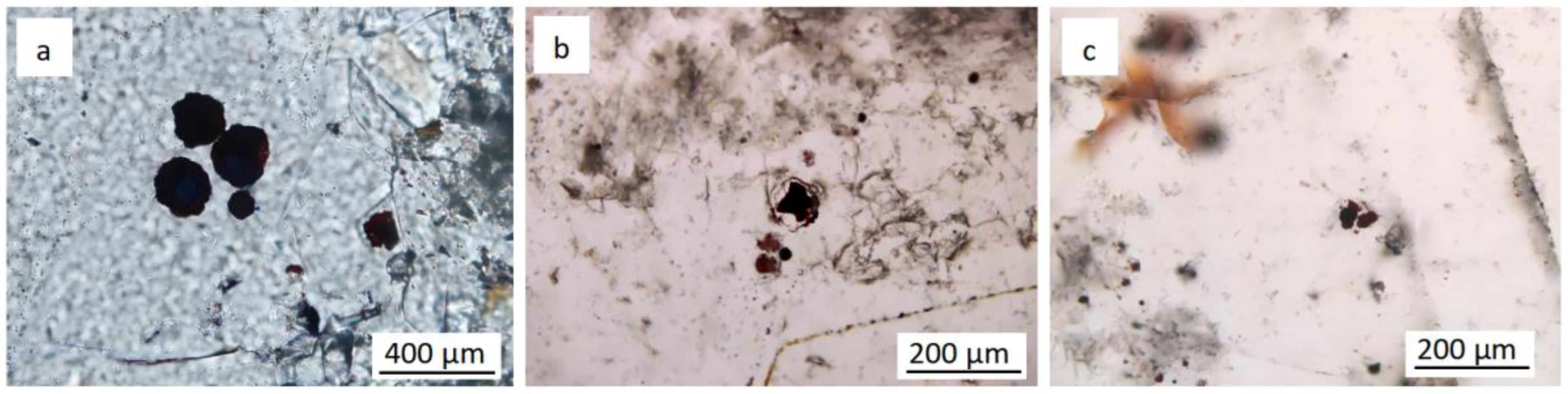 Minerals 13 00967 g007