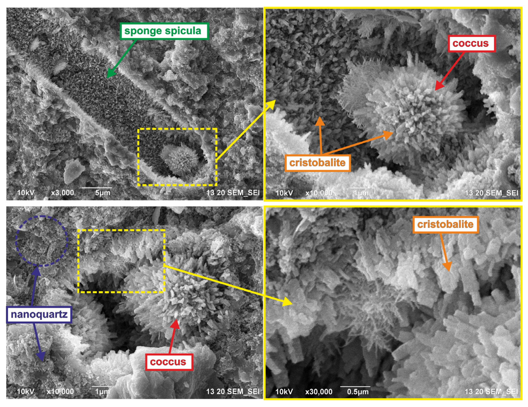 Minerals 13 00993 g005
