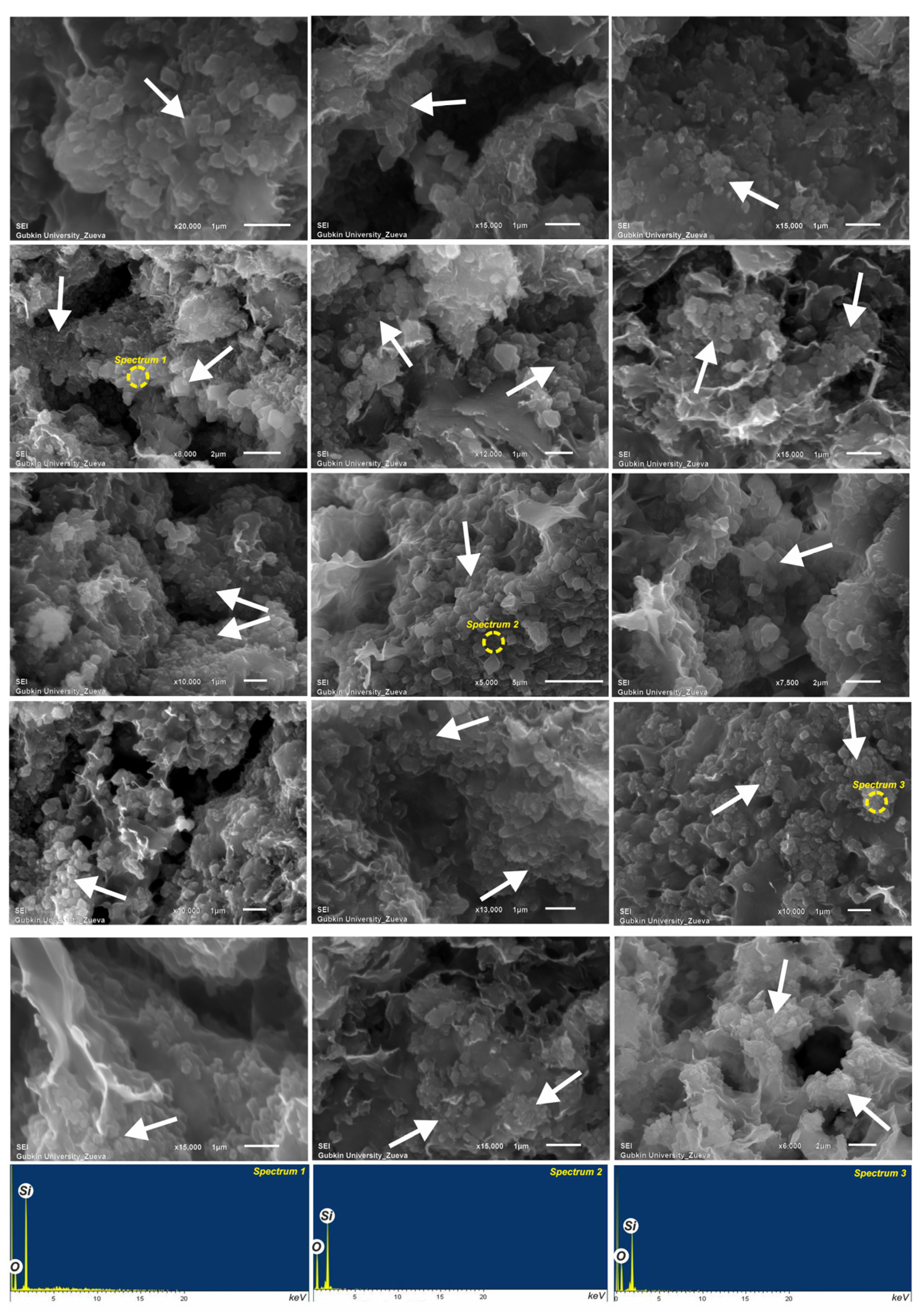Minerals 13 00993 g013