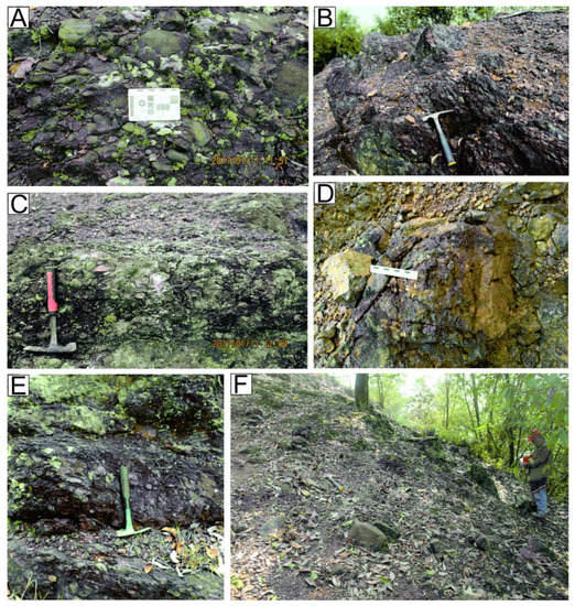 Properties of Conglomerates from the Middle Ordovician Dongchong