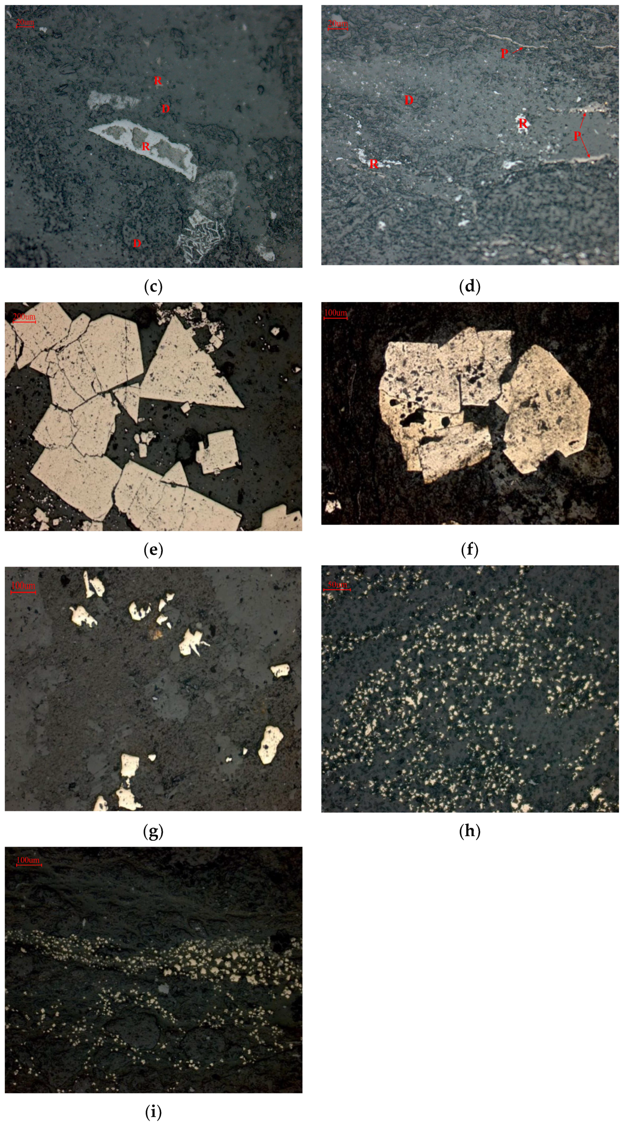 Minerals 13 01008 g003b