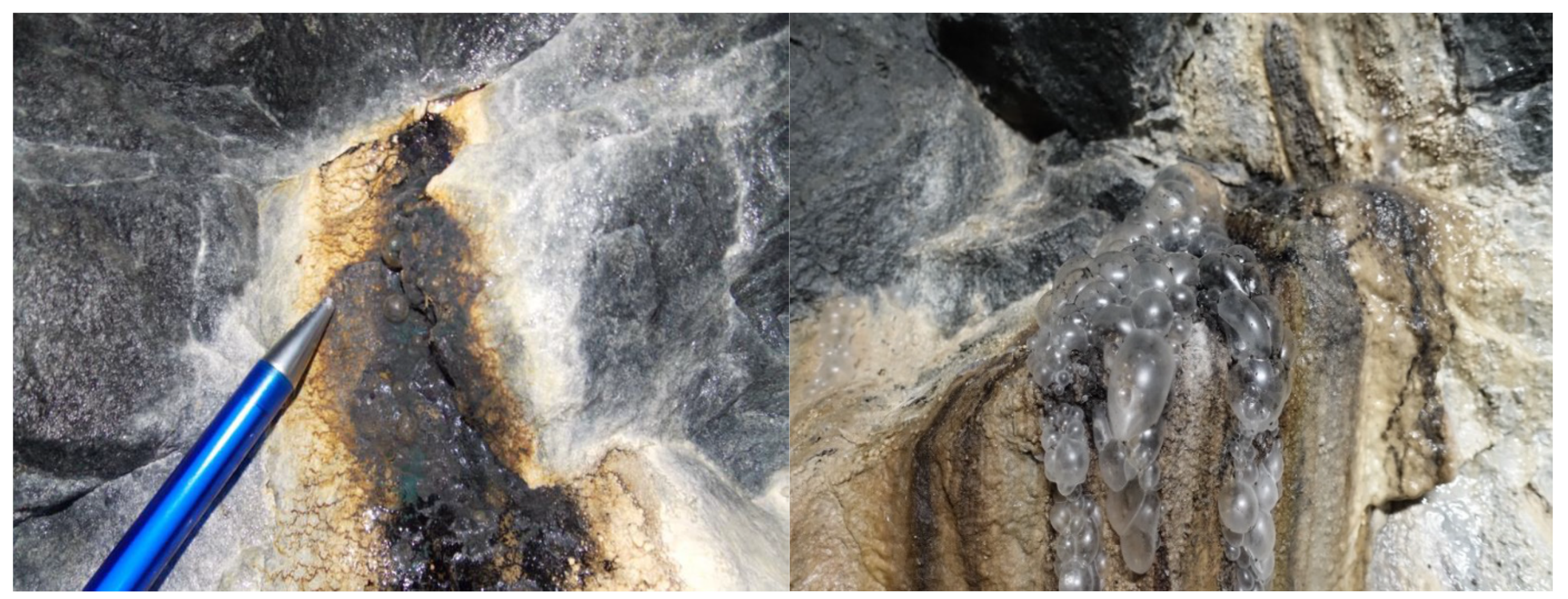Minerals 13 01023 g002