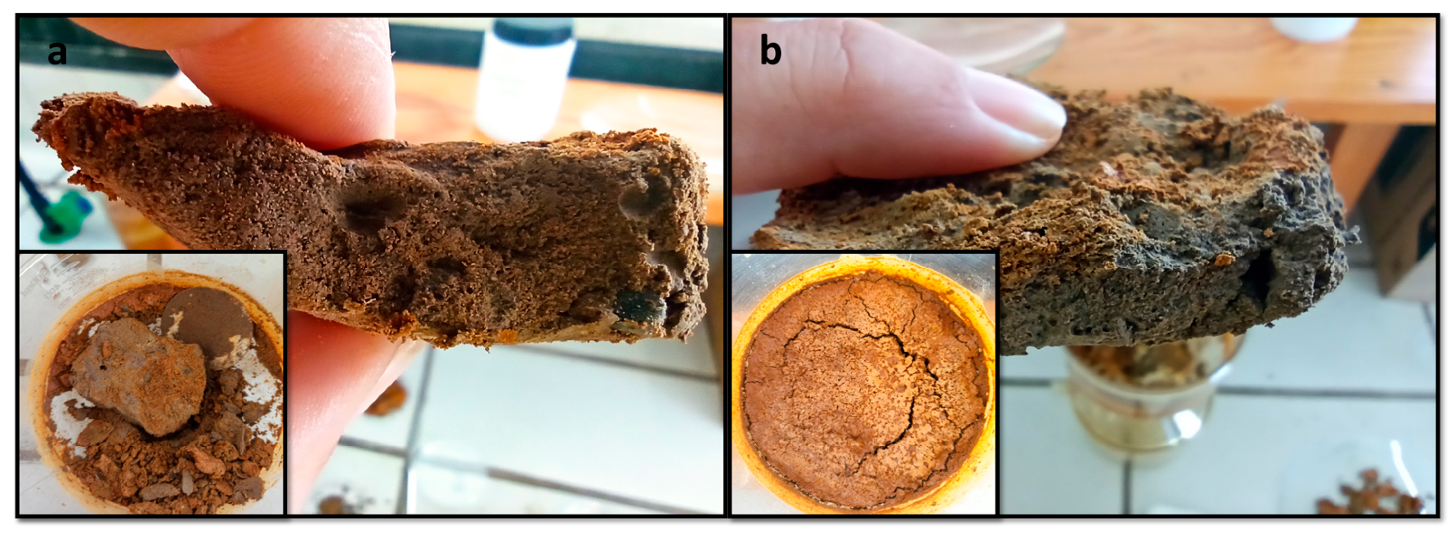 Minerals 13 01028 g005