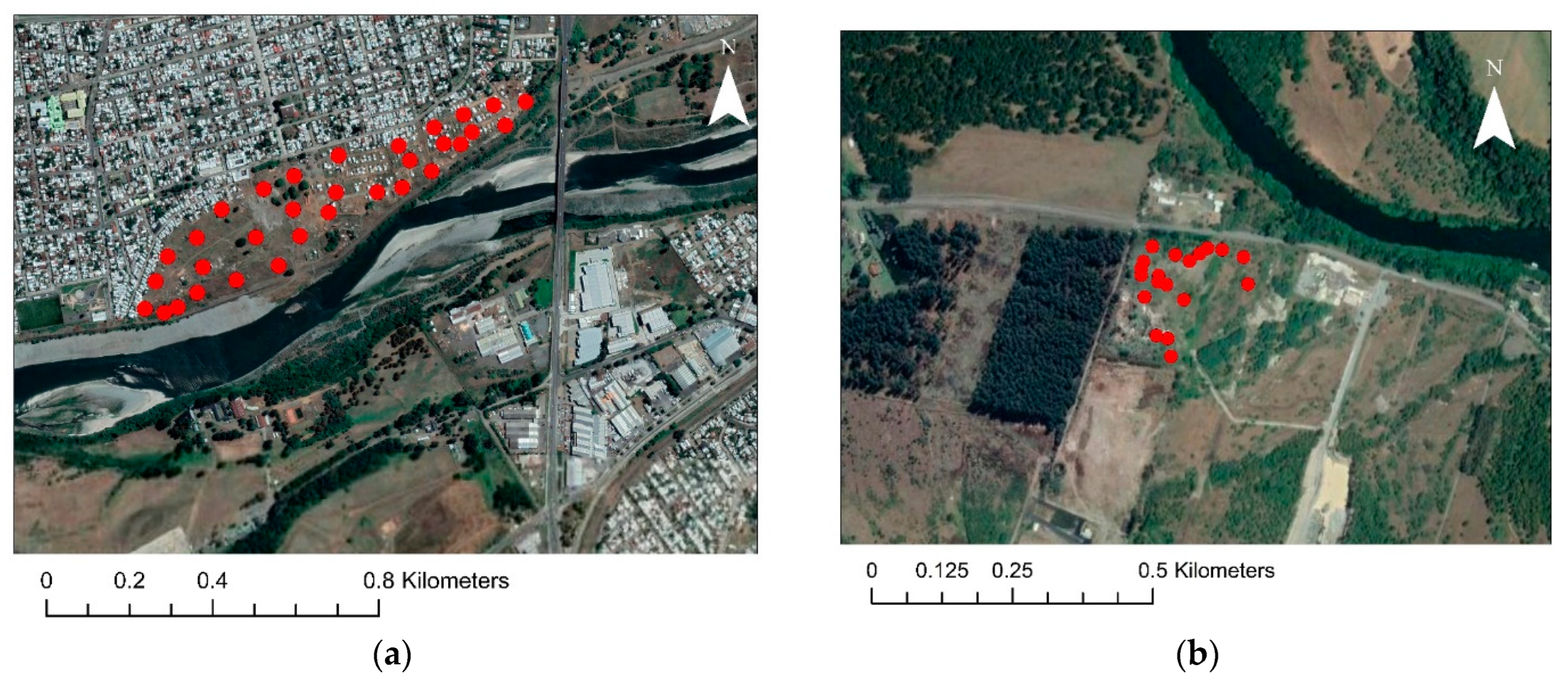 Minerals 13 01033 g002a Minerals 13 01033 g002a