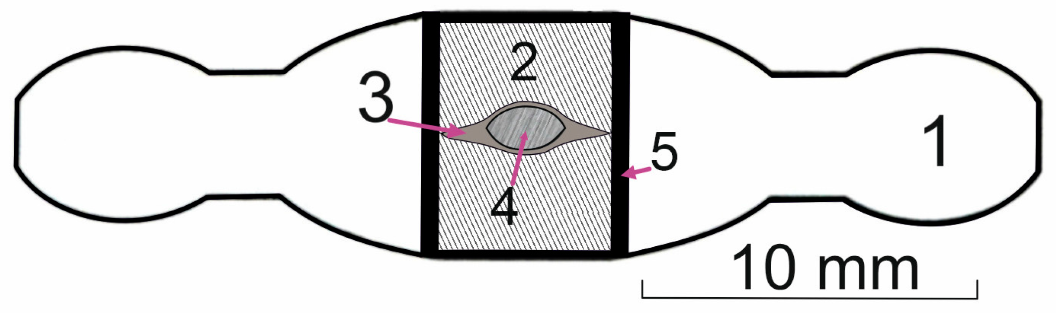 Minerals 13 01040 g006