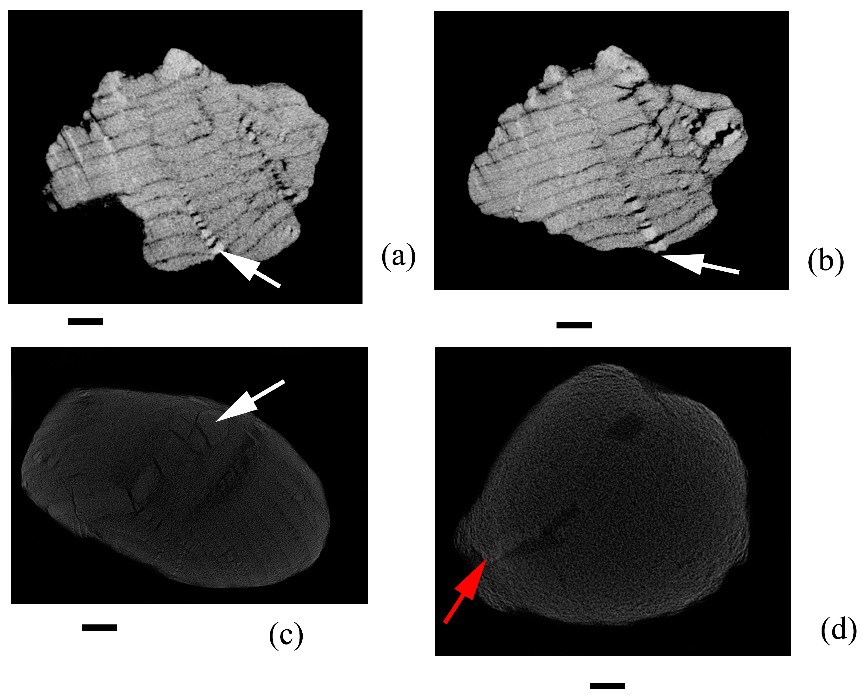 Minerals 13 01050 g007 Minerals 13 01050 g007