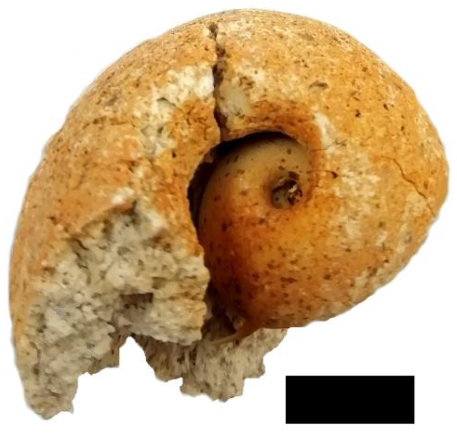 Minerals 13 01050 g010 Minerals 13 01050 g010