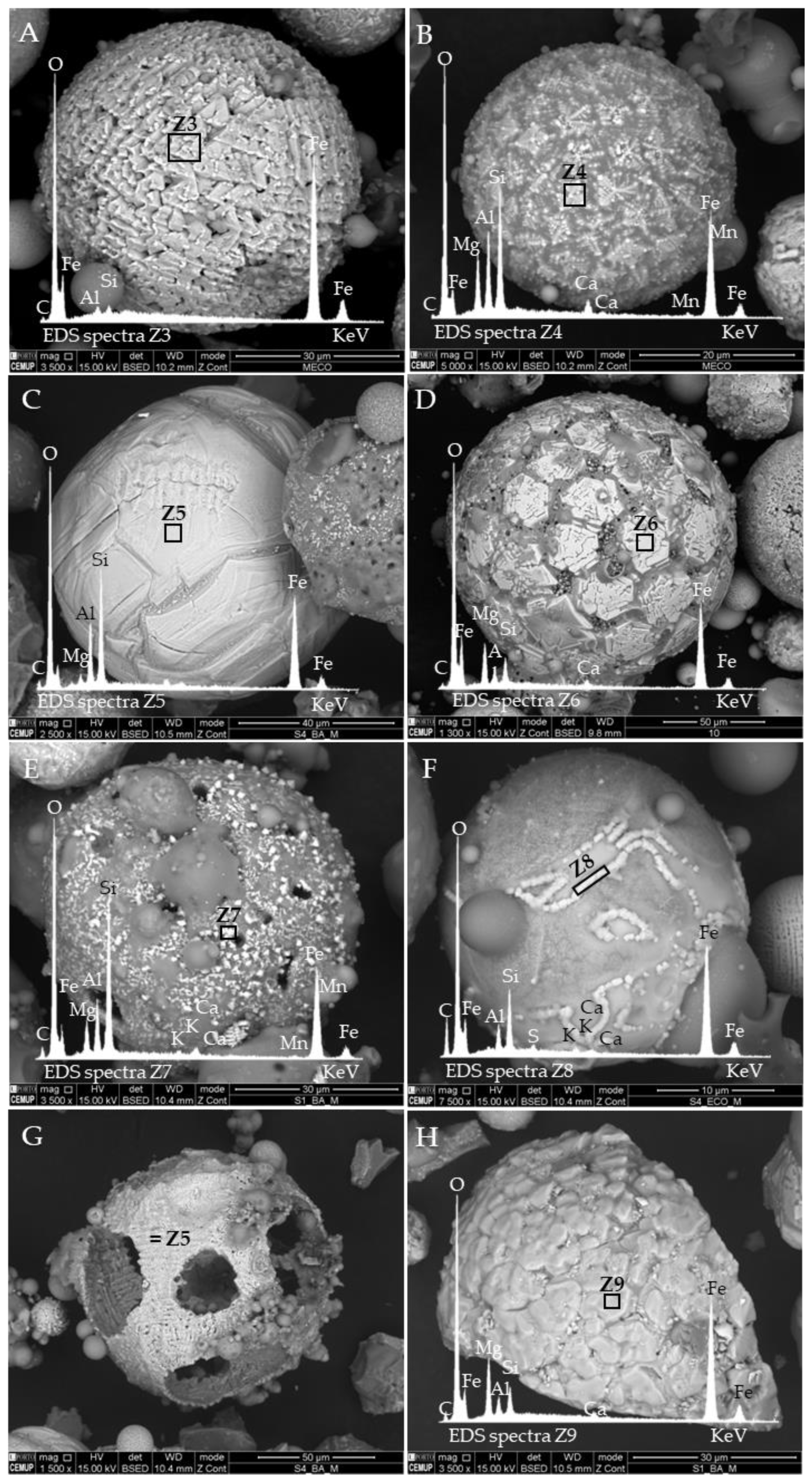 Minerals 13 01055 g006