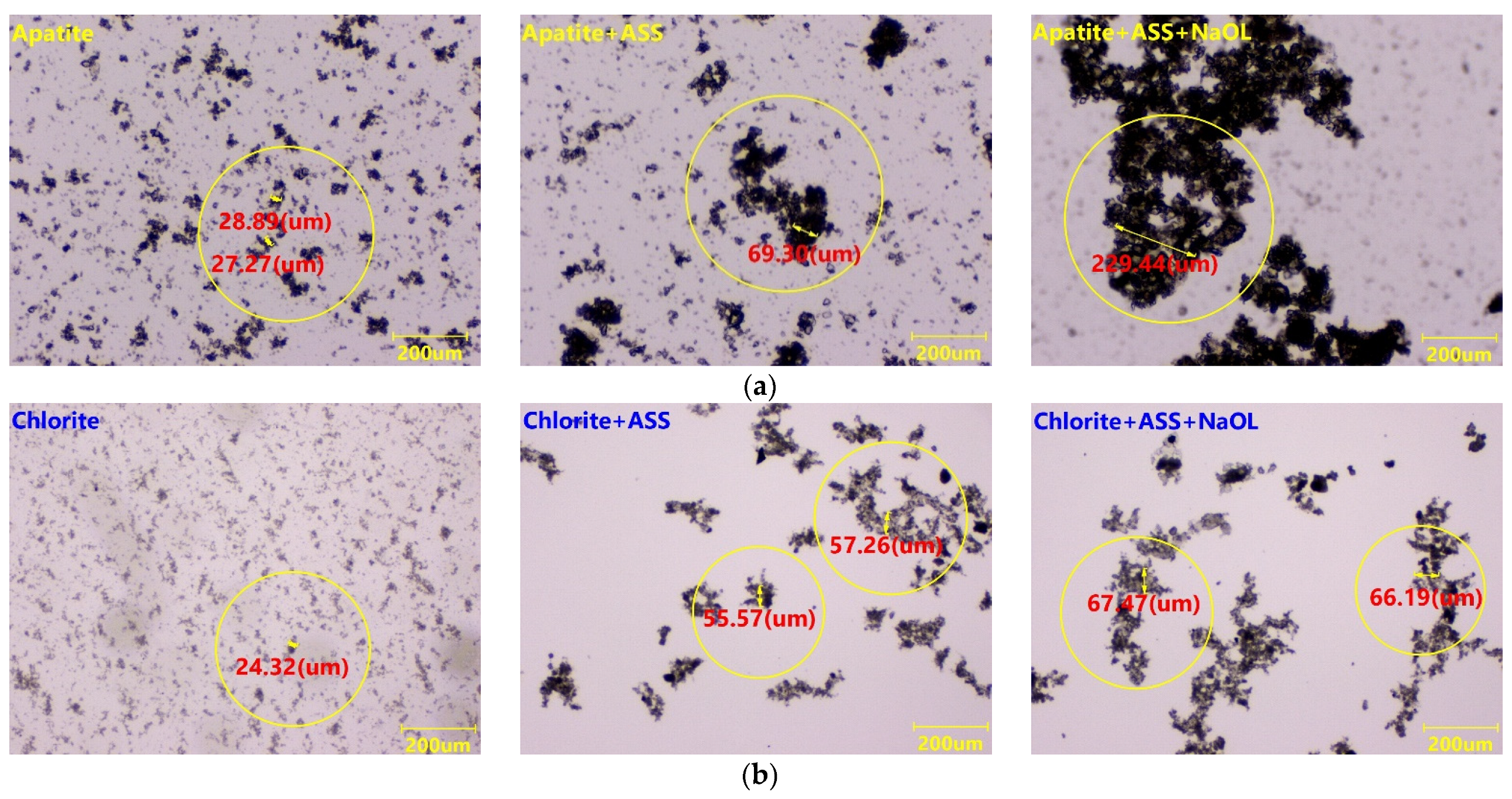 Minerals 13 01061 g013 Minerals 13 01061 g013