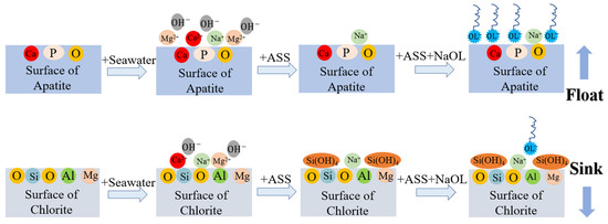 Acidspar Flotation Effect of Acidified Sodium Silicate on the Flotation Separation of ...